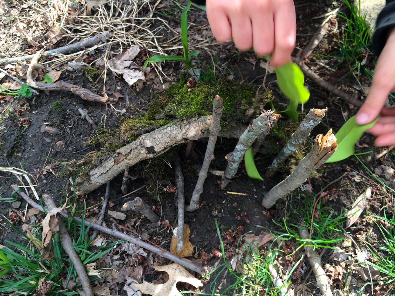 Building Fairy Houses with found items in nature