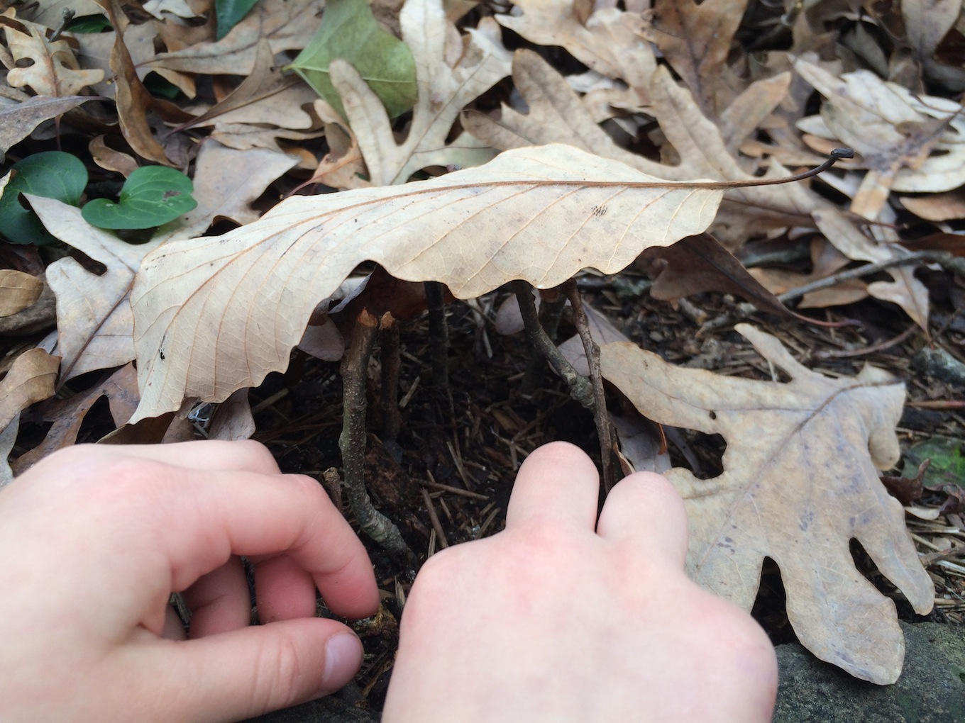 Building a fairy house with kids