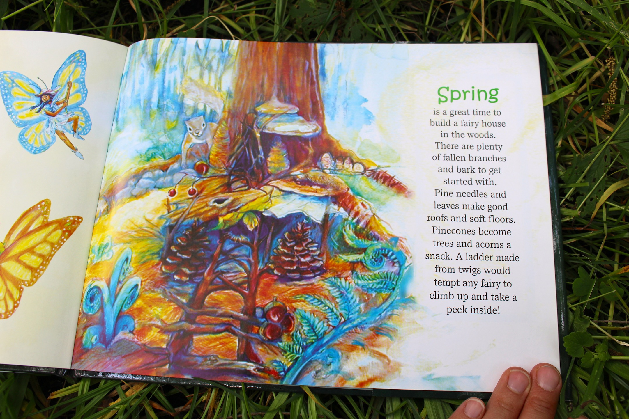 Fairy Houses by Tracy Kane