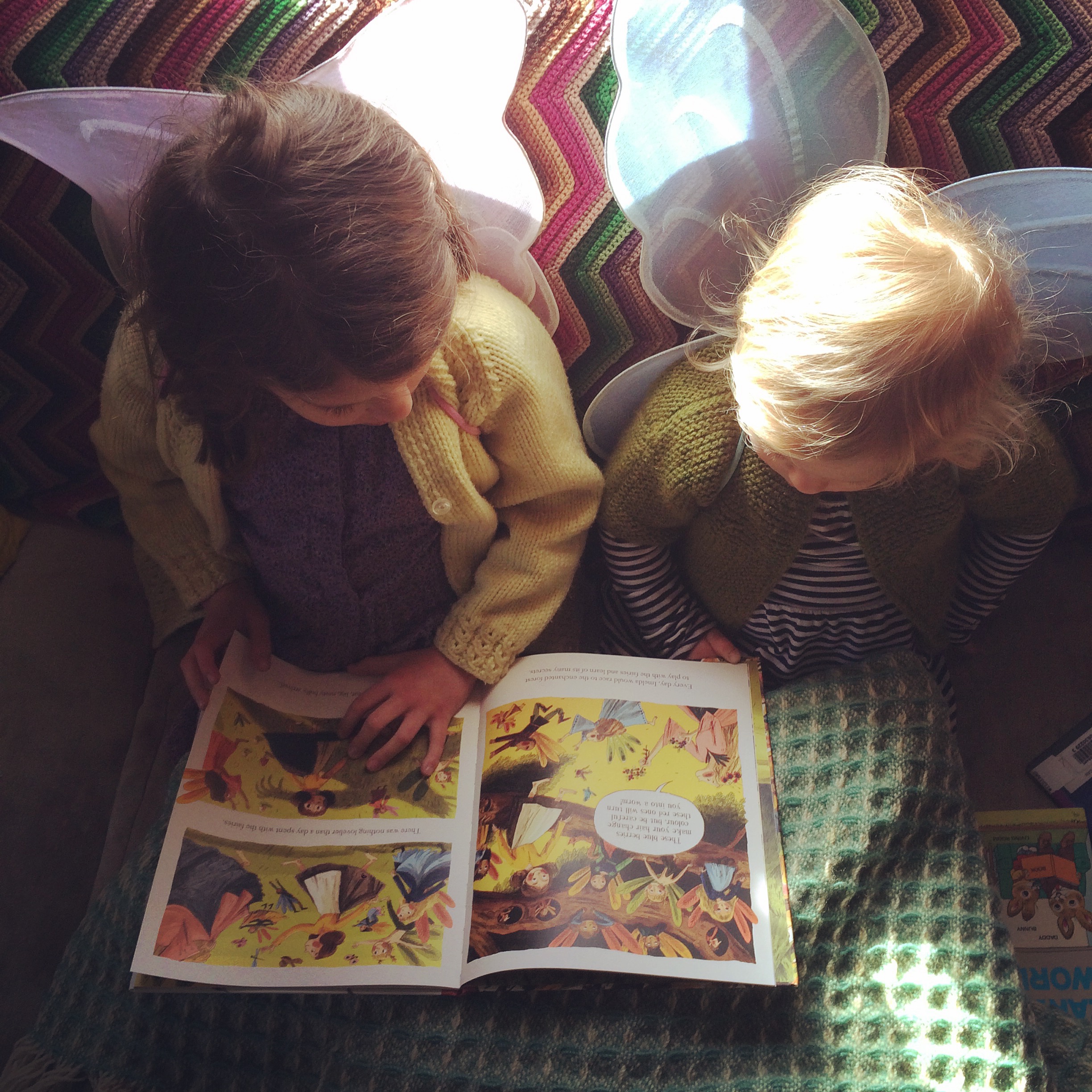 Imelda and the Goblin King Fairy Books for Kids