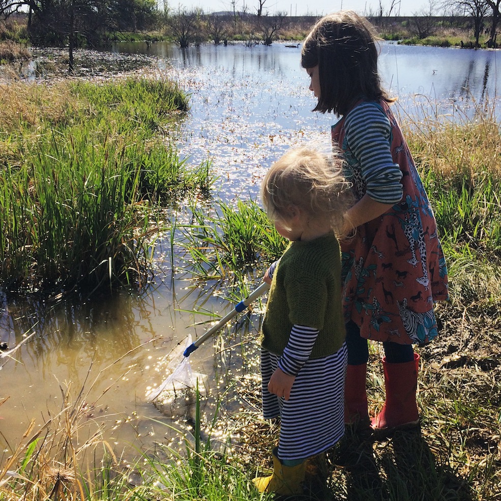 Tadpole hunt