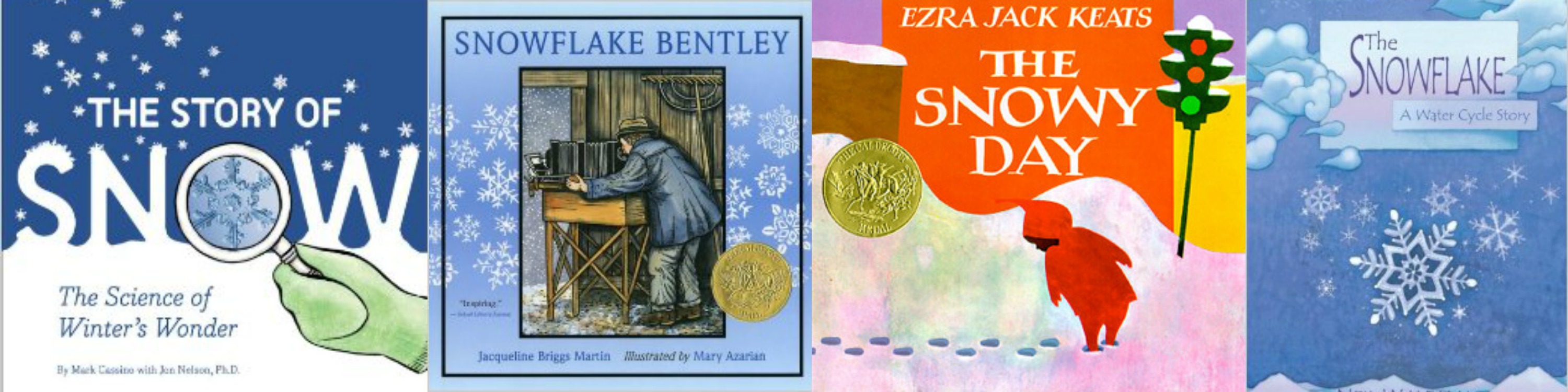 books about snow