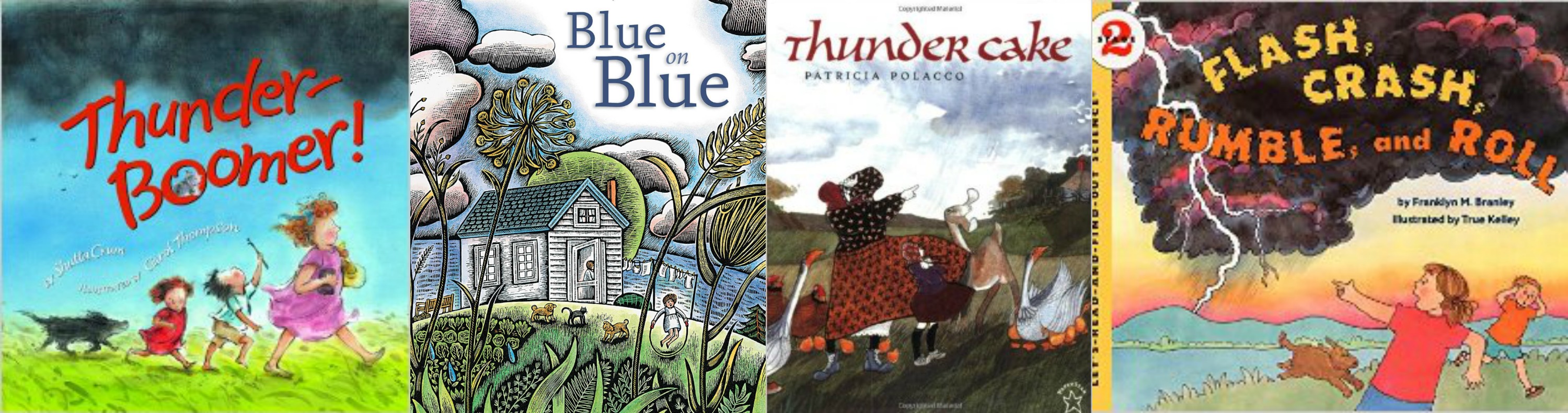 books about storms