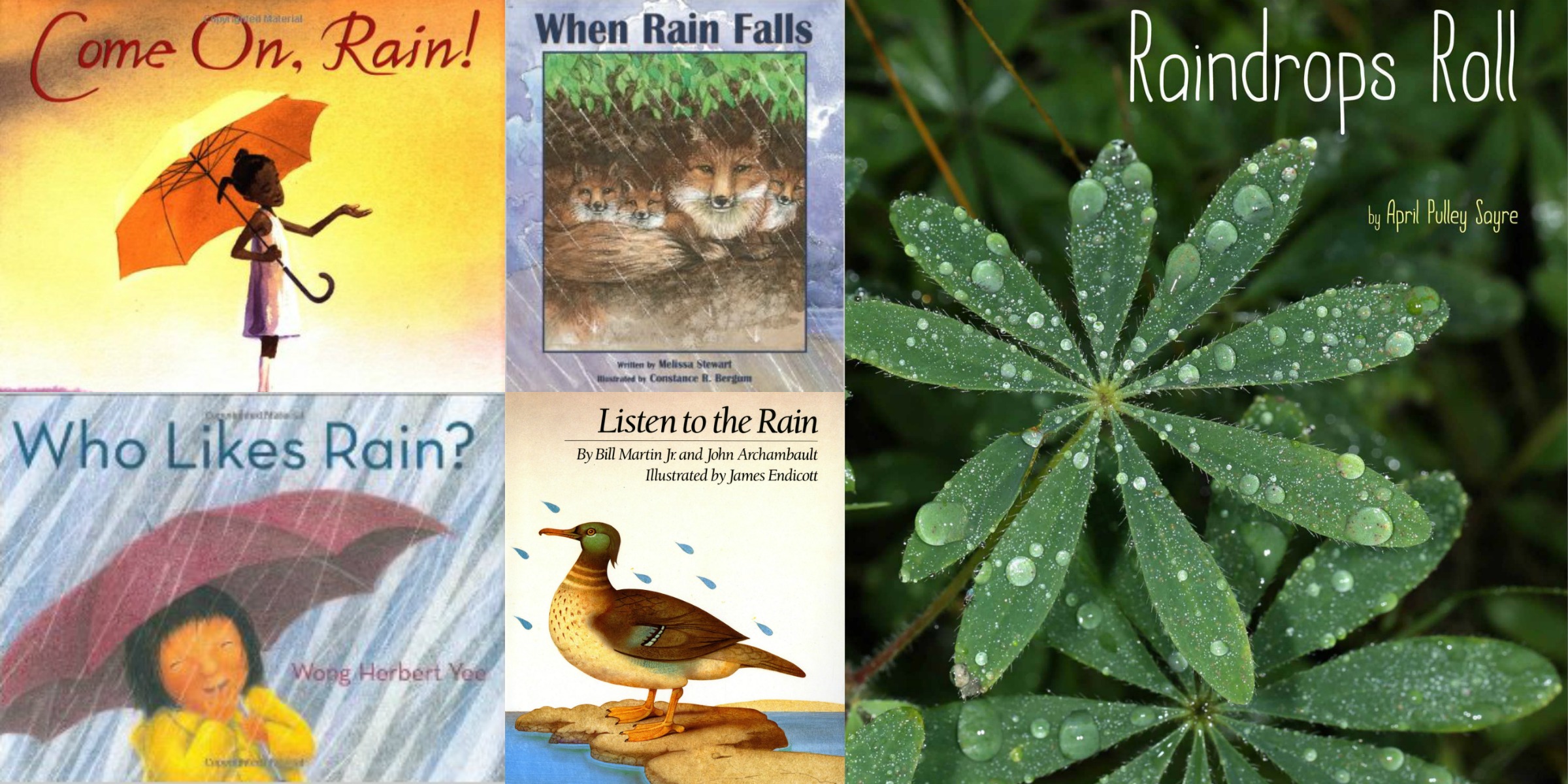 children's books about rain