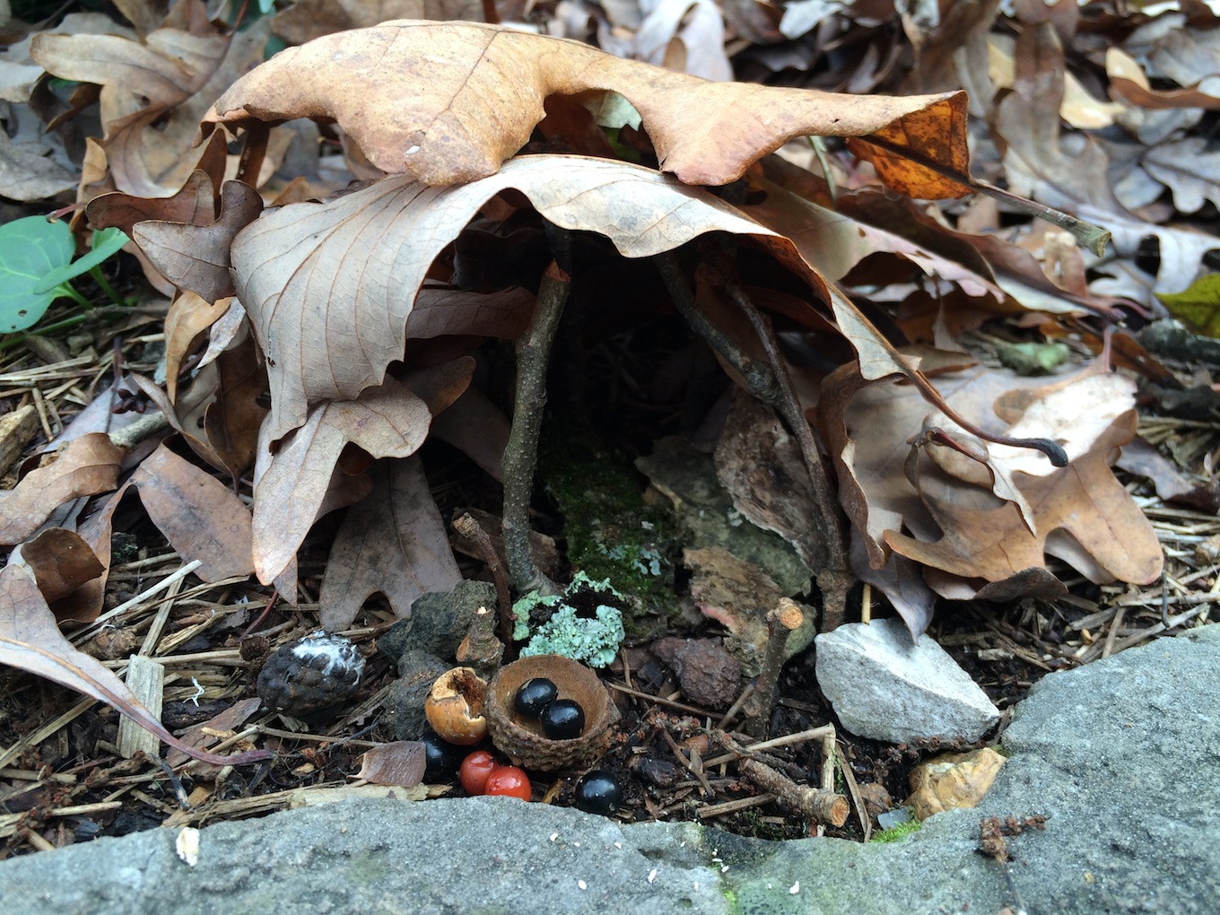 fairy house