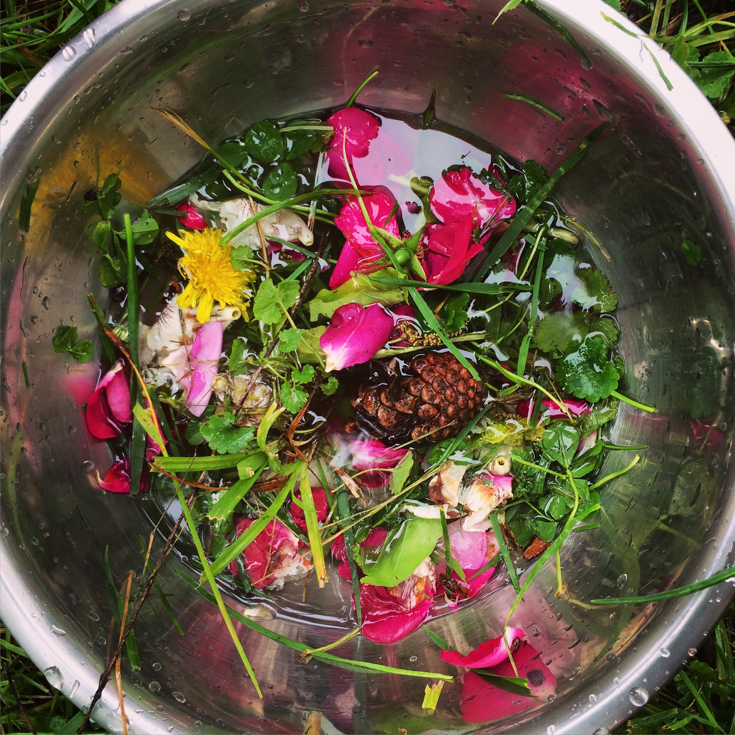 fairy soup