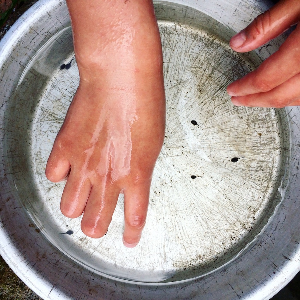 more tadpoles