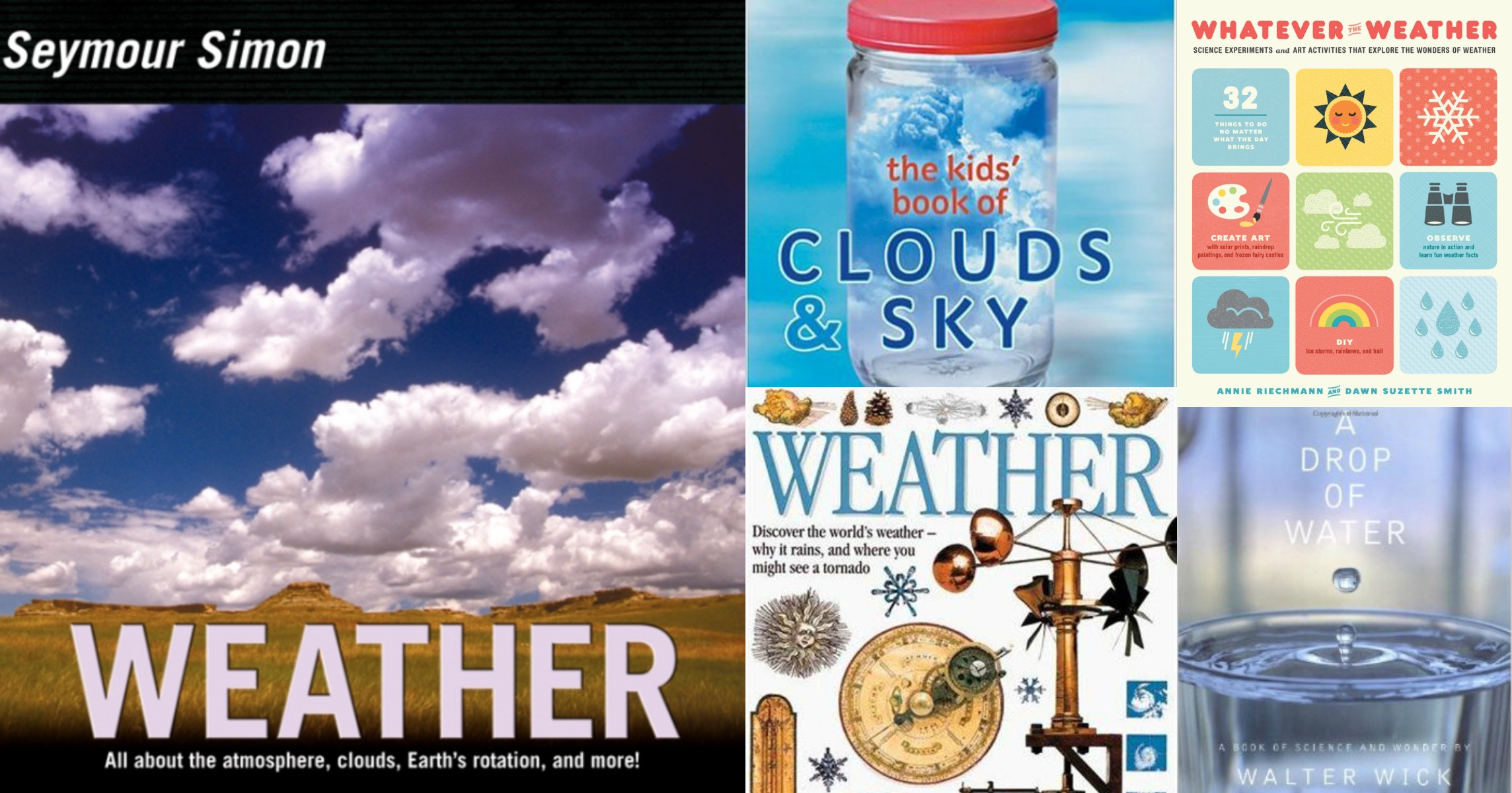 weather books for older readers