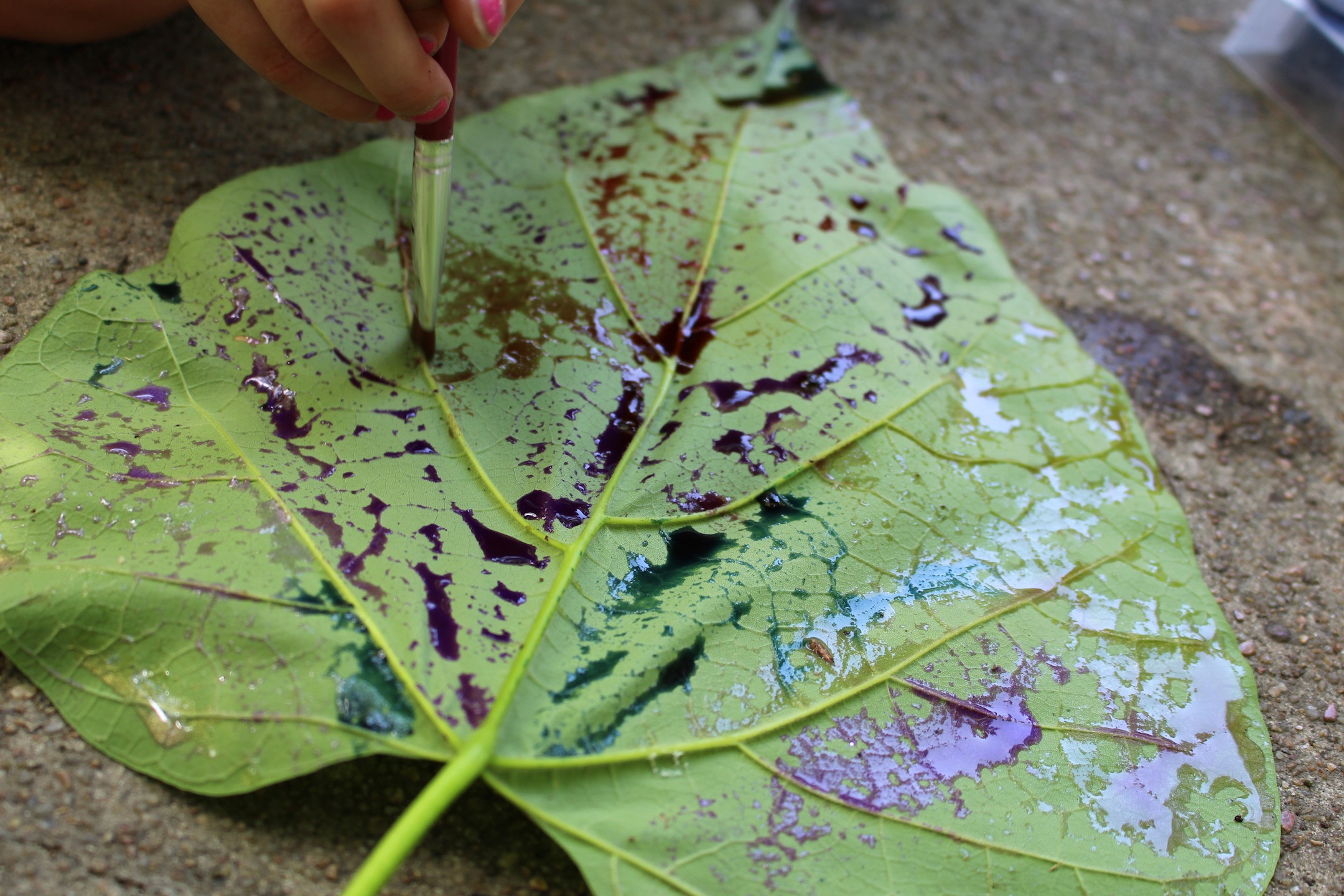 Leaf painting and printing nature activity for kids