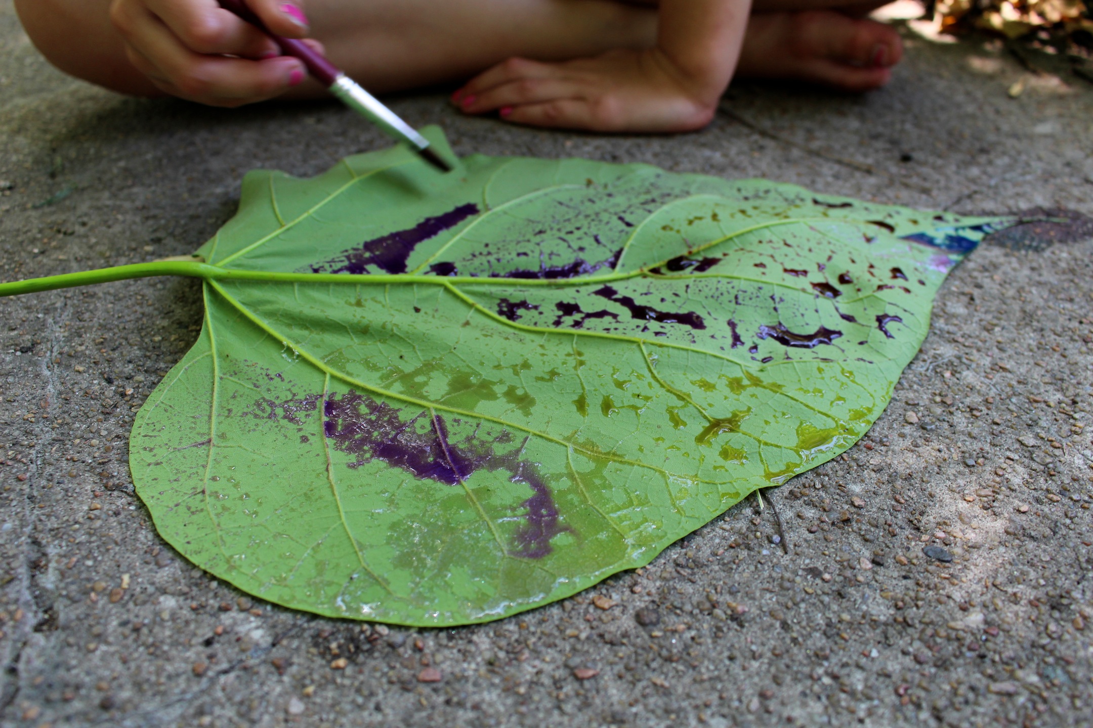 Leaf painting with liquid watercolors is a fun and simple summer nature project for children to investigate leaf veins and cohesion