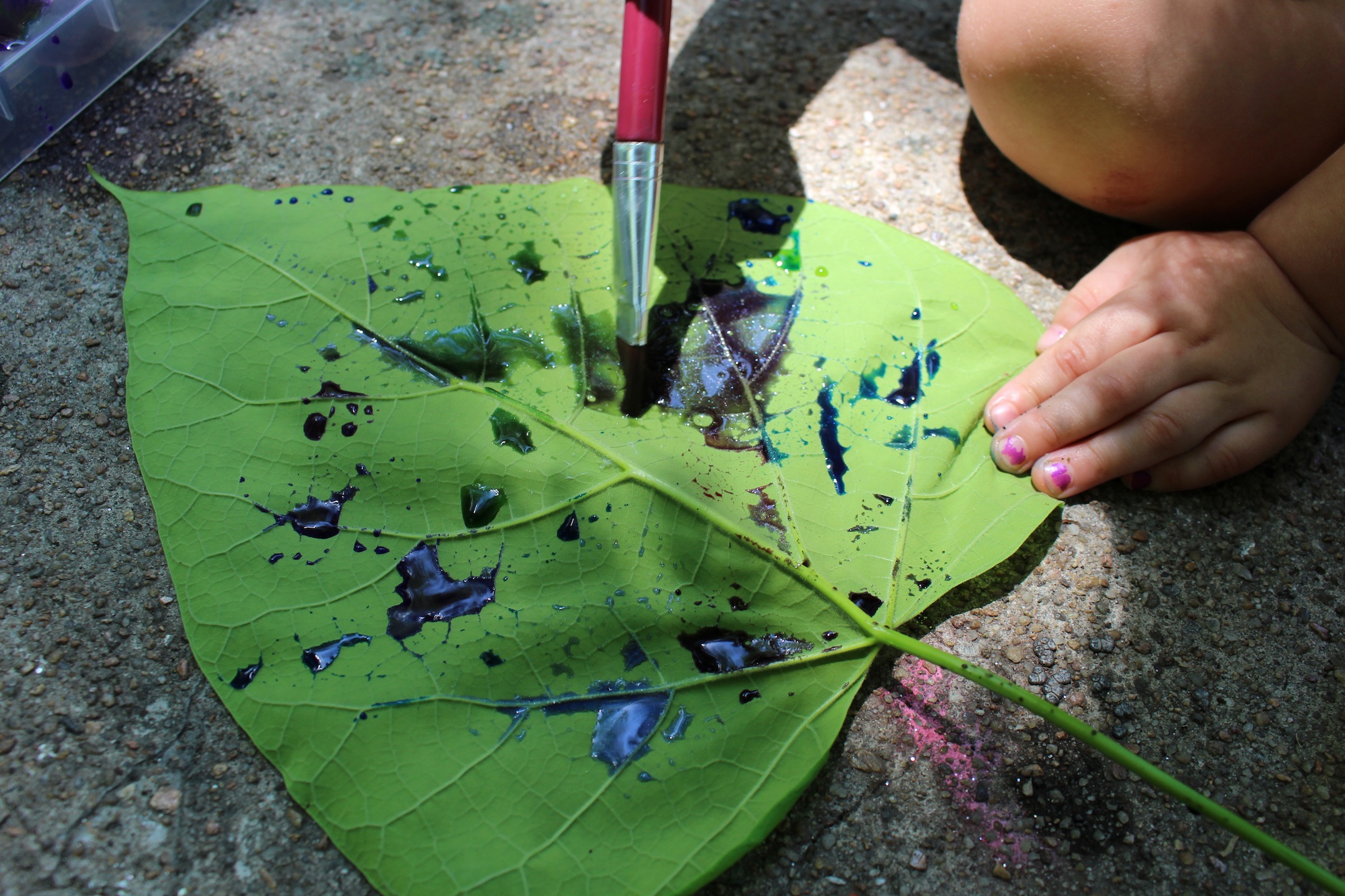 Leaf painting with watercolors to learn about leaf veins and cohesion