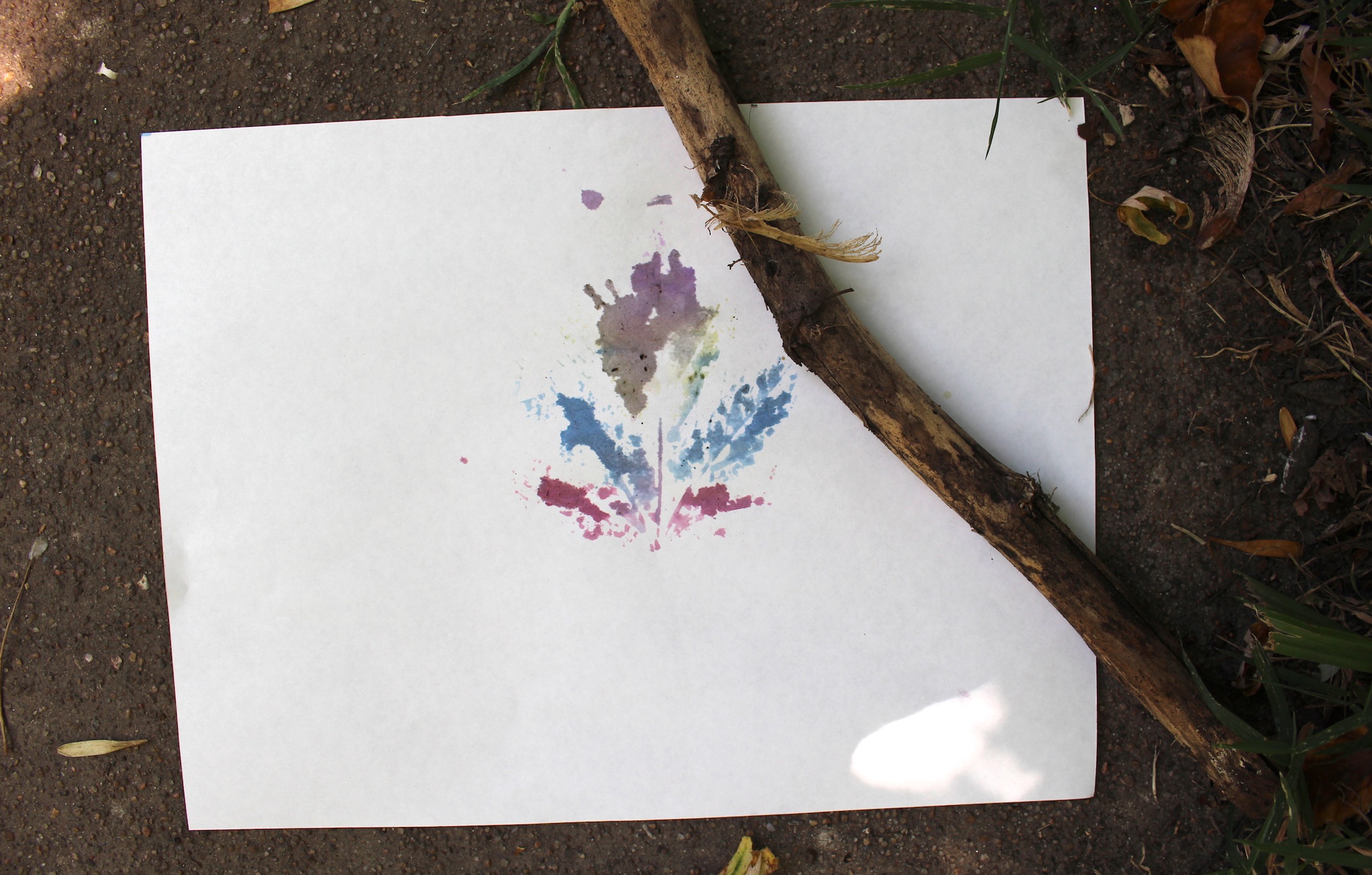 Leaf printing with watercolors - Art and Nature Activity for Kids