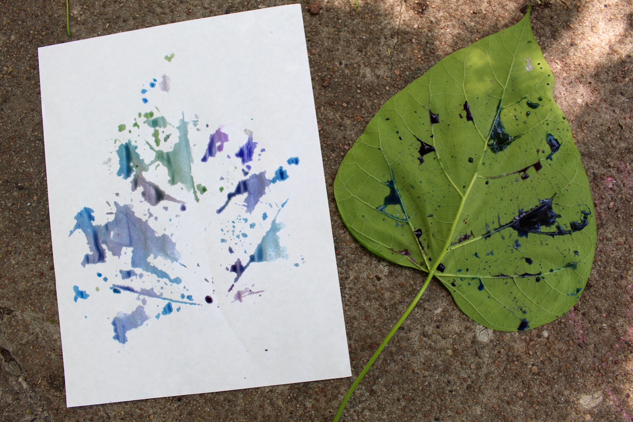 Leaf printing with watercolors