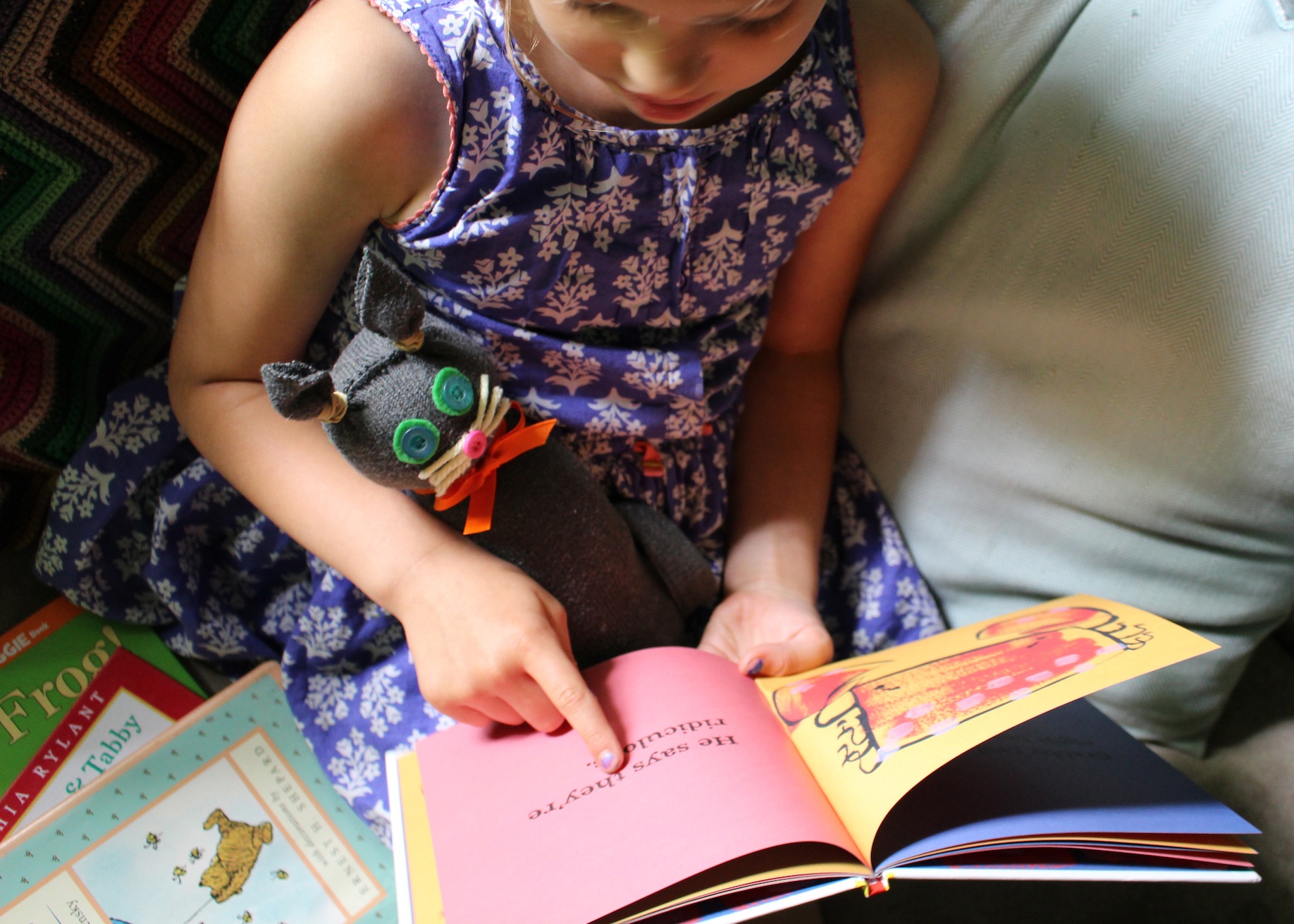 Summer Reading Buddy - DIY Cat Stuffie inspired by The Summer Nick Taught His Cats to Read