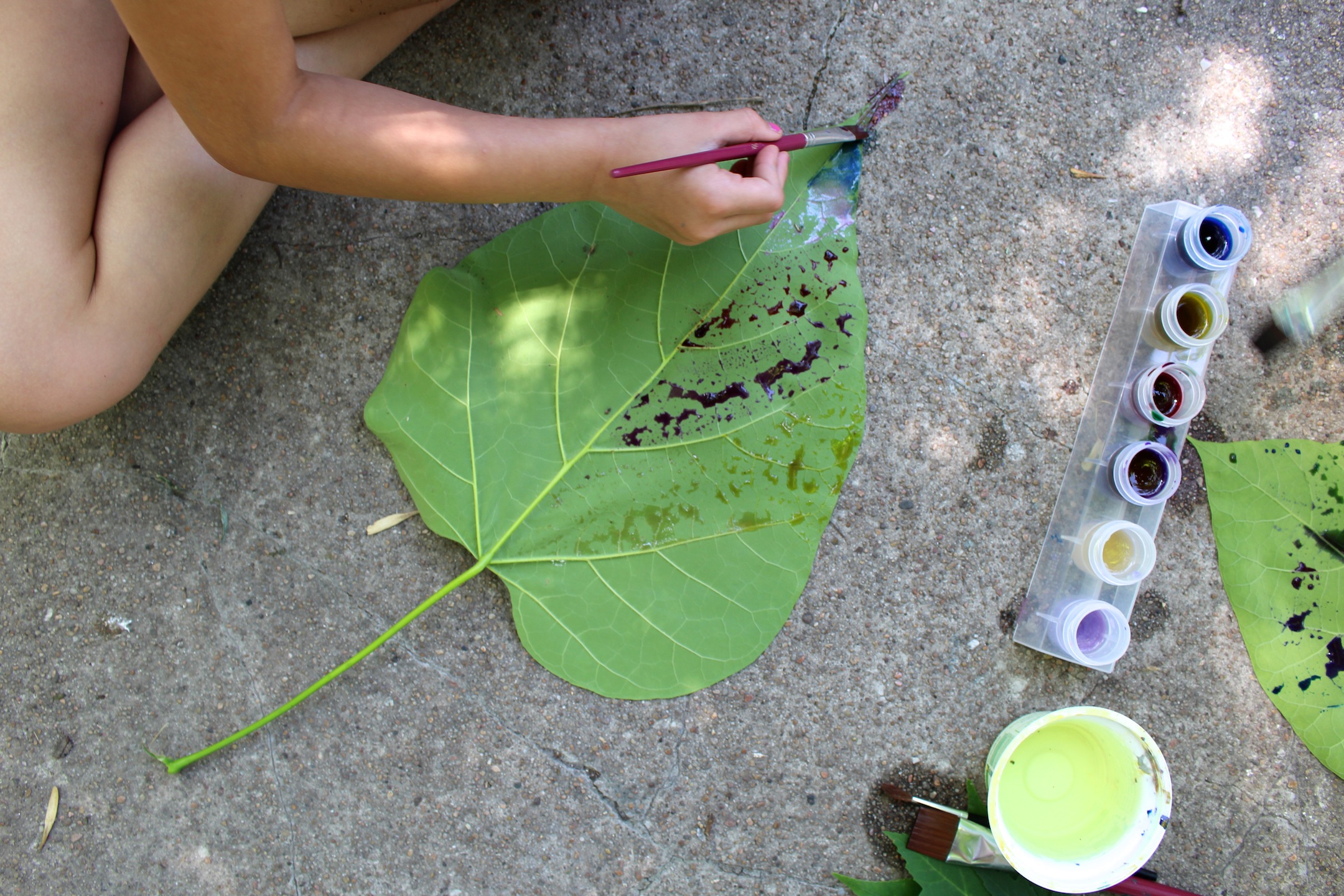 Watercolor leaf painting
