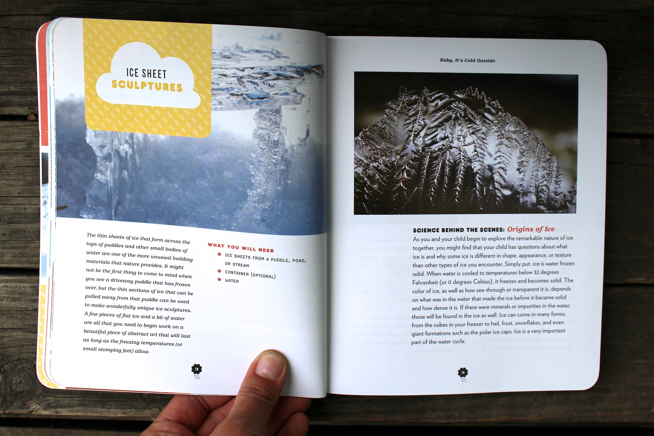 Whatever the Weather book ice scupltures promt