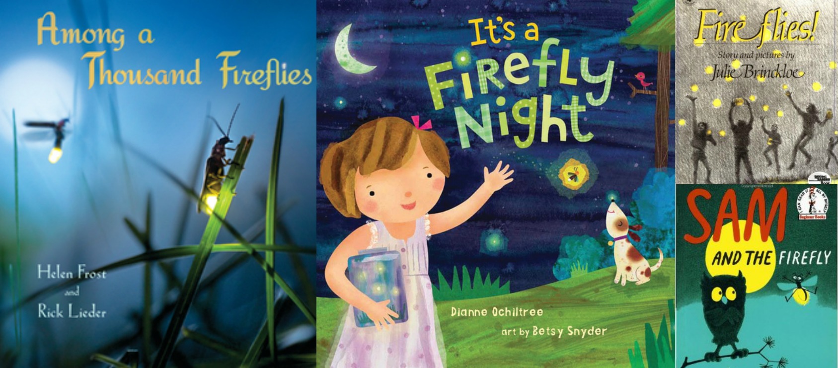 books about fireflies