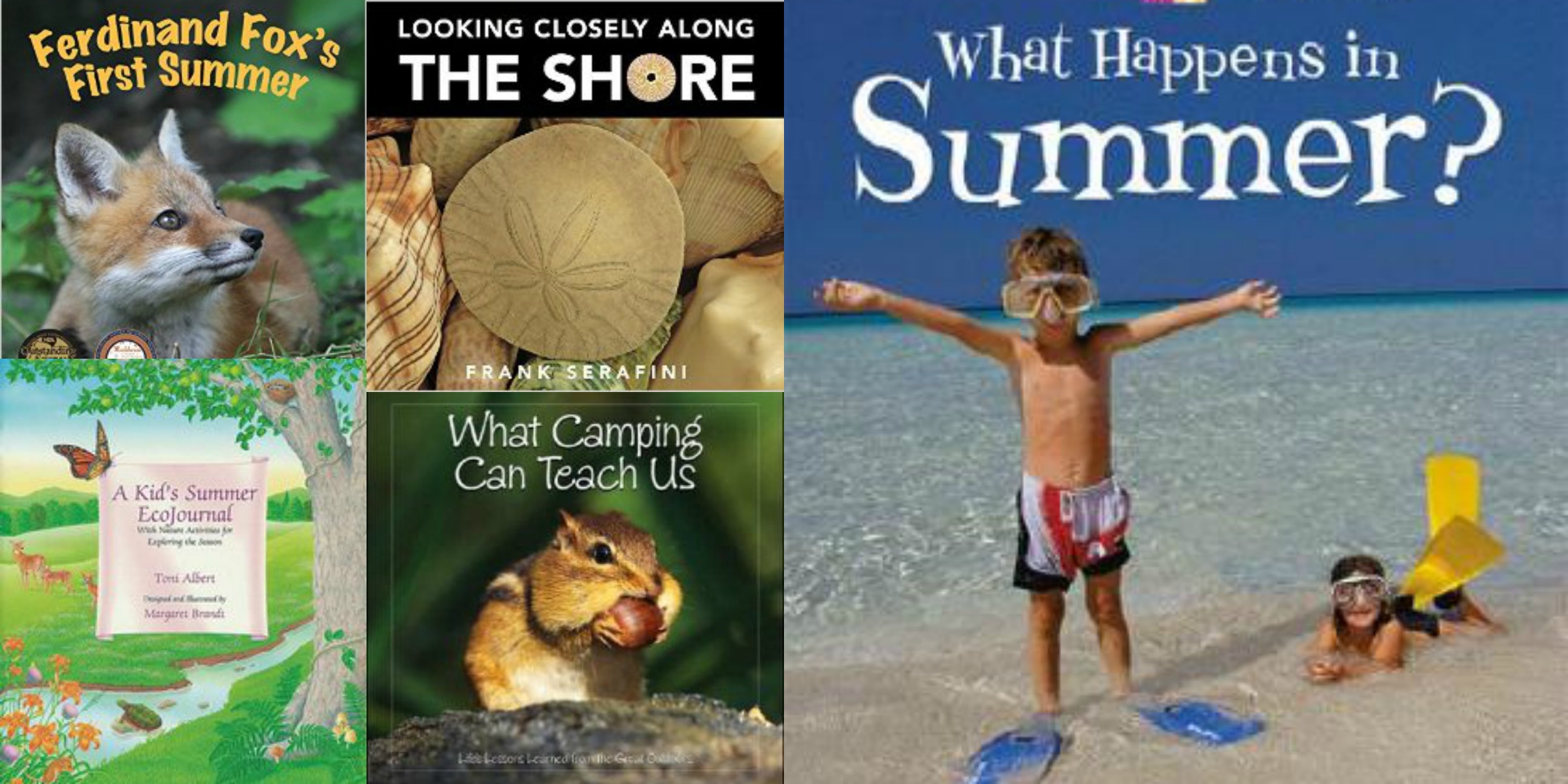 children's nonfiction books about summer