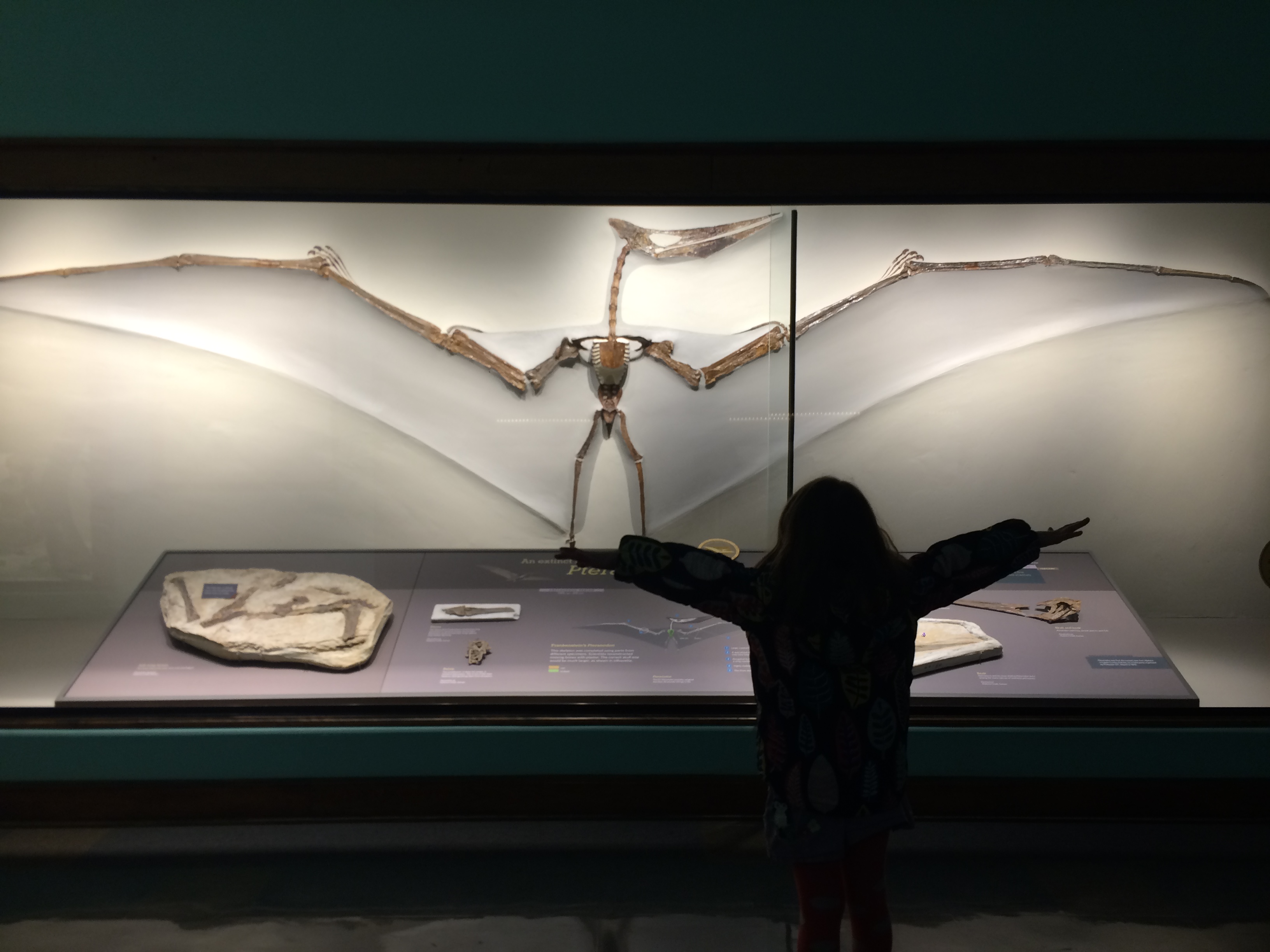 homeschool fossil intensive