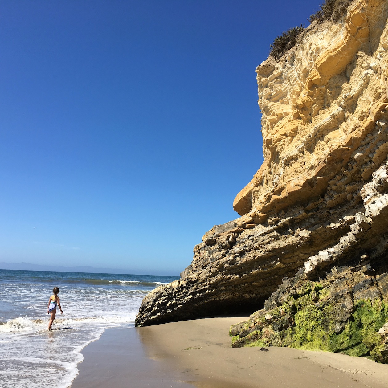 Beach combing