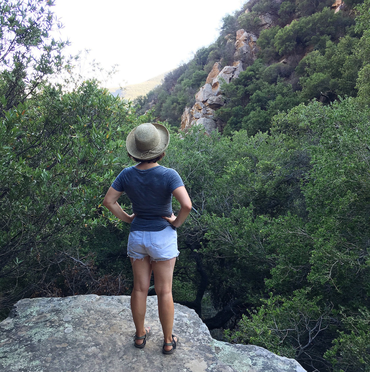Desert views
