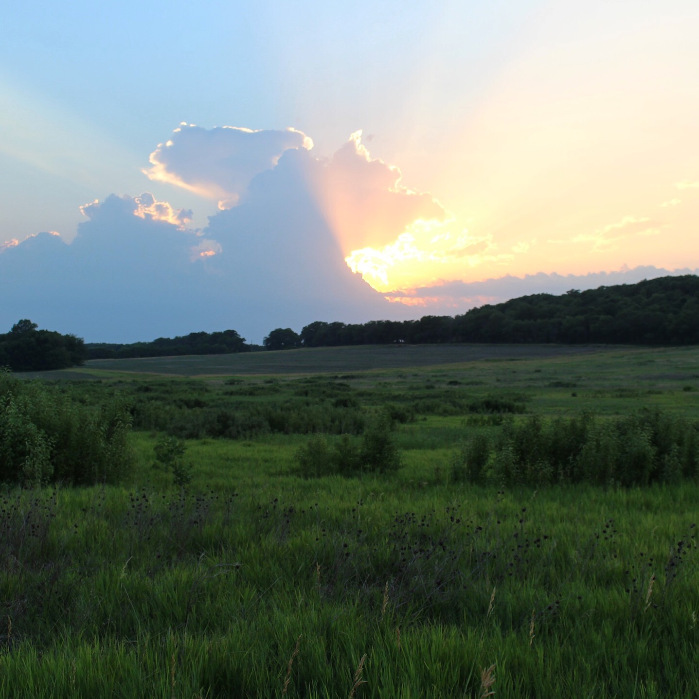 Dreamy Kansas skies