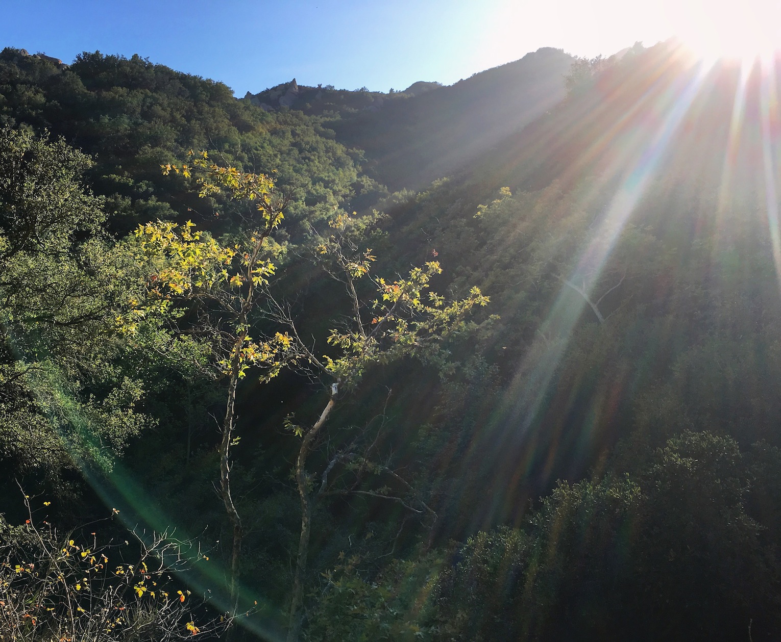 Mountain magic