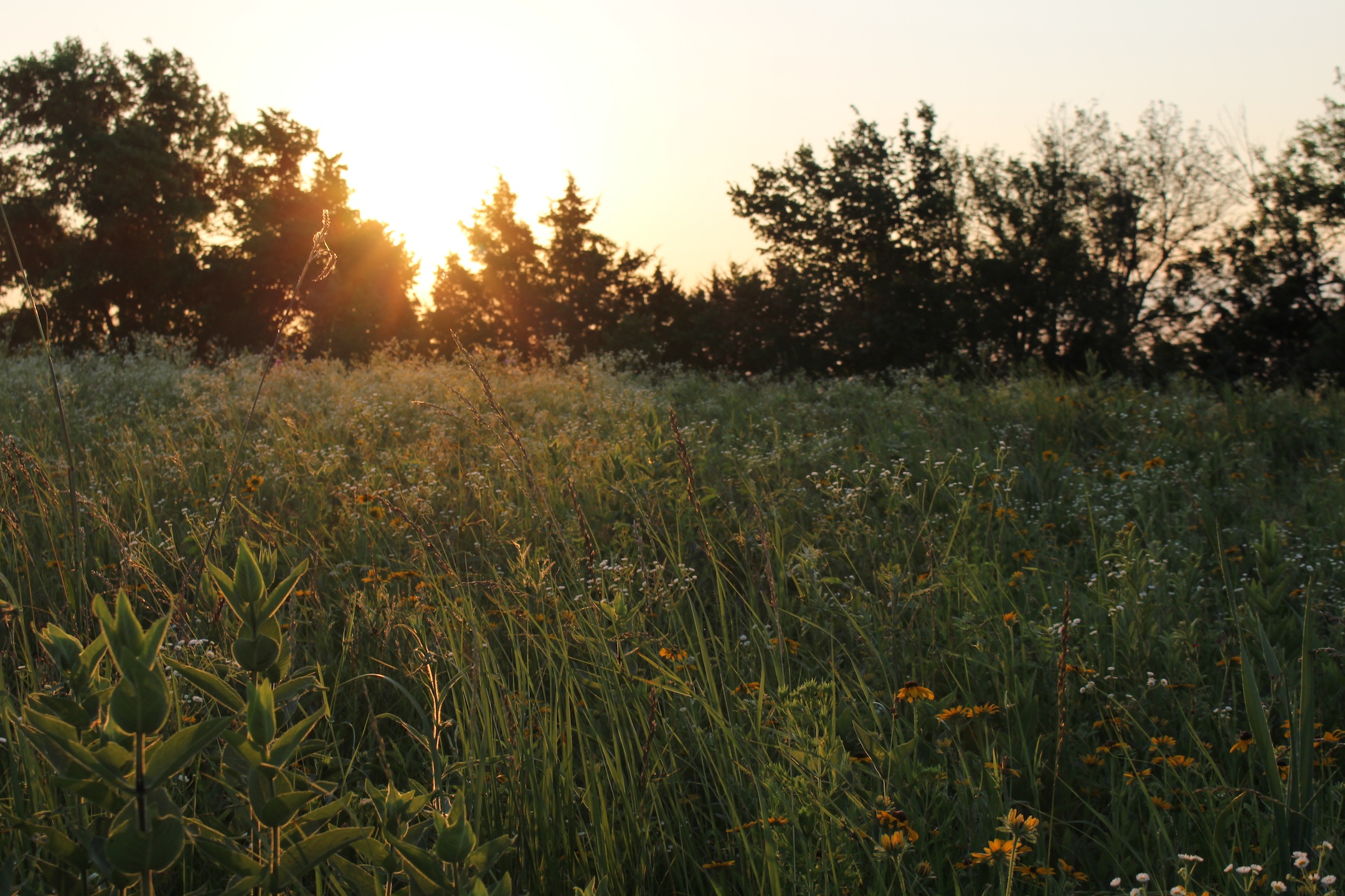 june morning