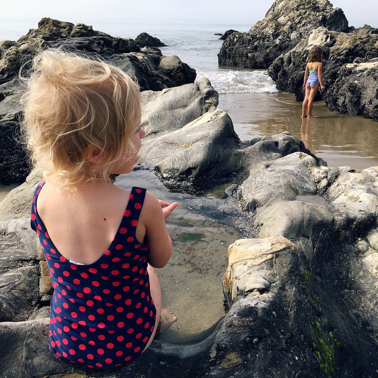 mermaids