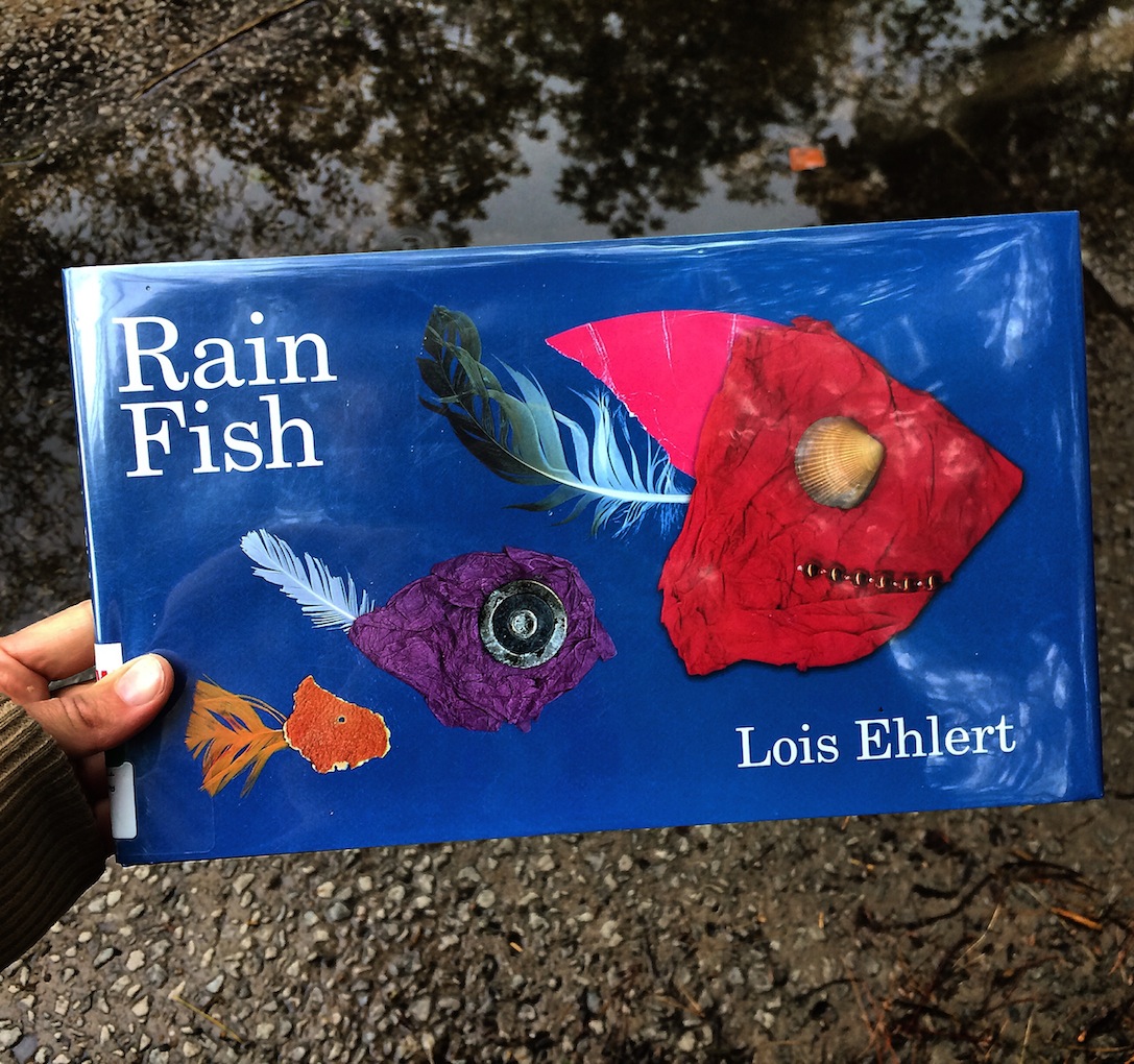In this rhyming adventure of debris that comes out to play on a rainy day, RAIN FISH by Lois Elhert is a lively story meshing art and nature
