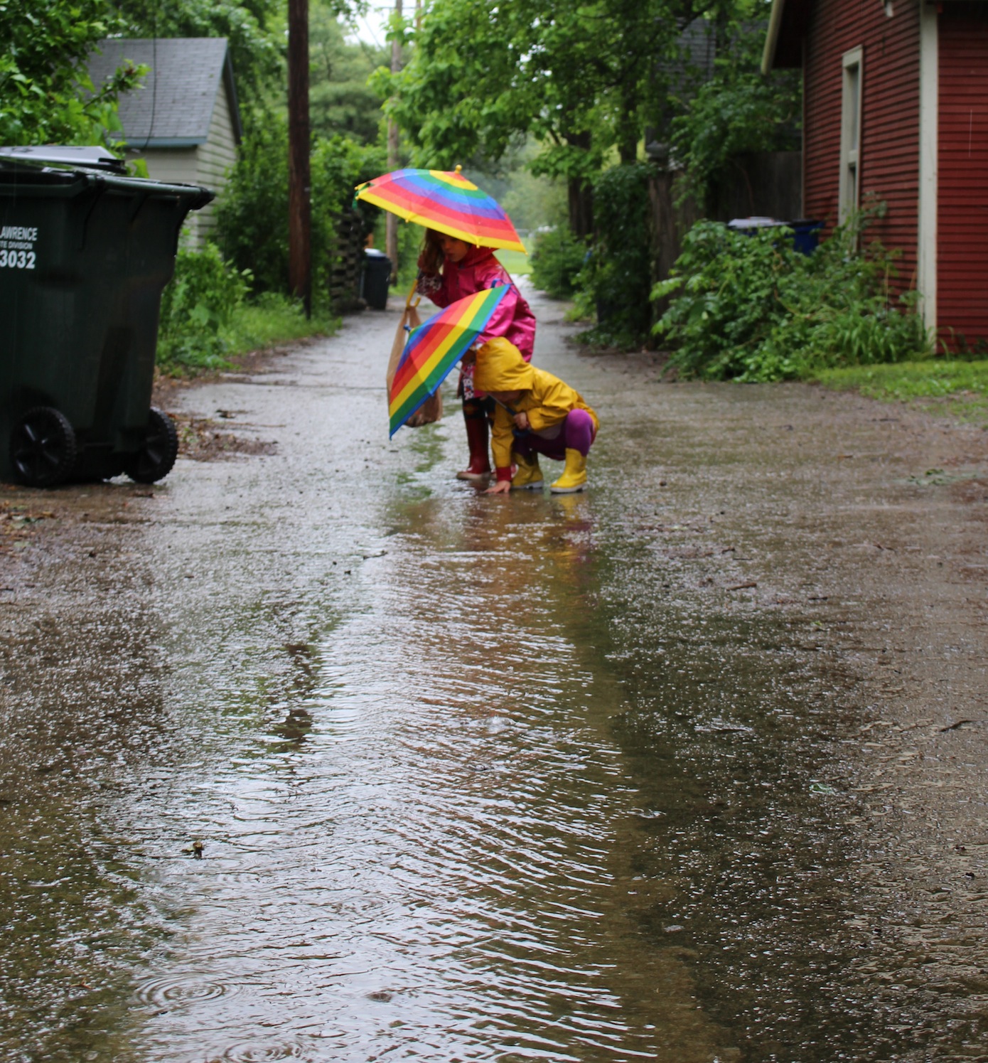 Looking for Rain Fish, a rainy day activity that promts kids to use their imagination and repurpose litter