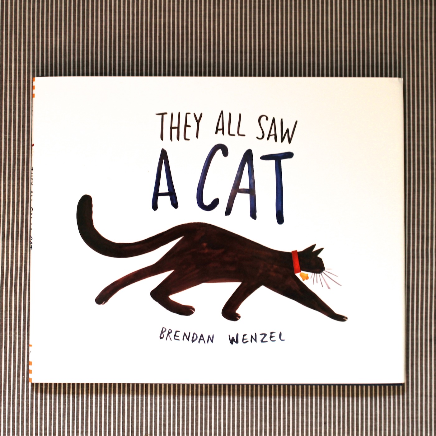 They All Saw A Cat by Brendan Wenzel review + animal eyesight and perspective activity