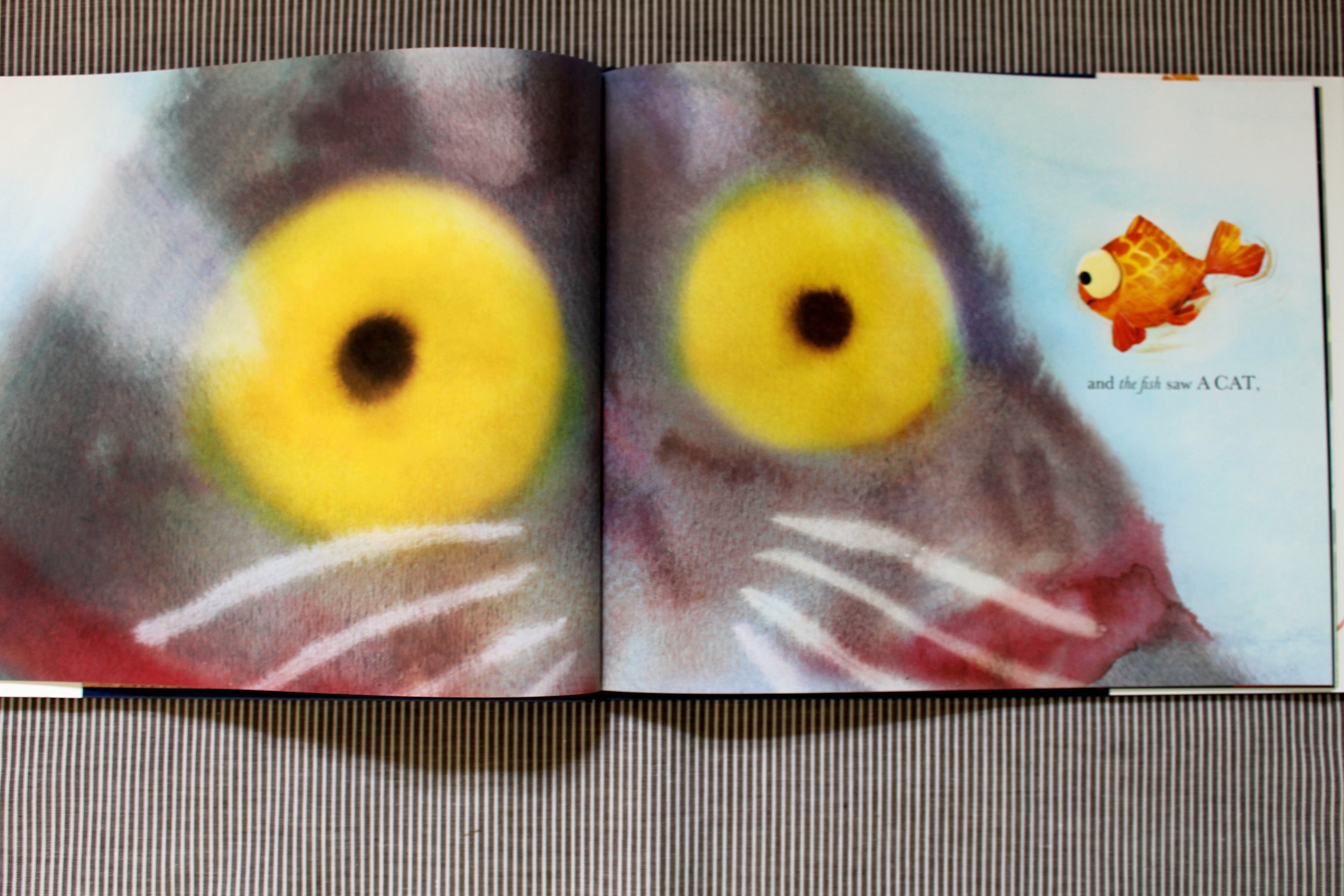 They All Saw A Cat- fish perspective