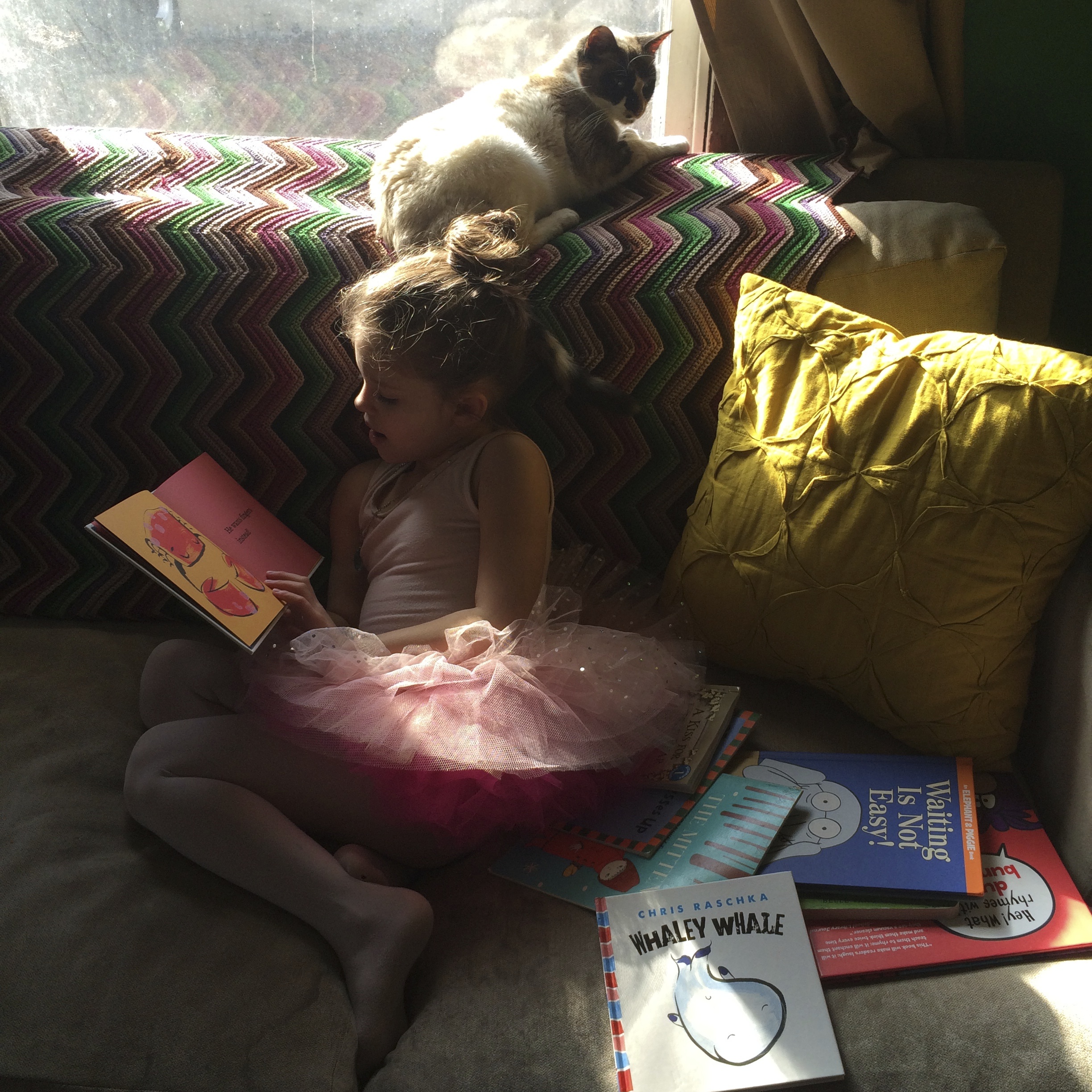 reading