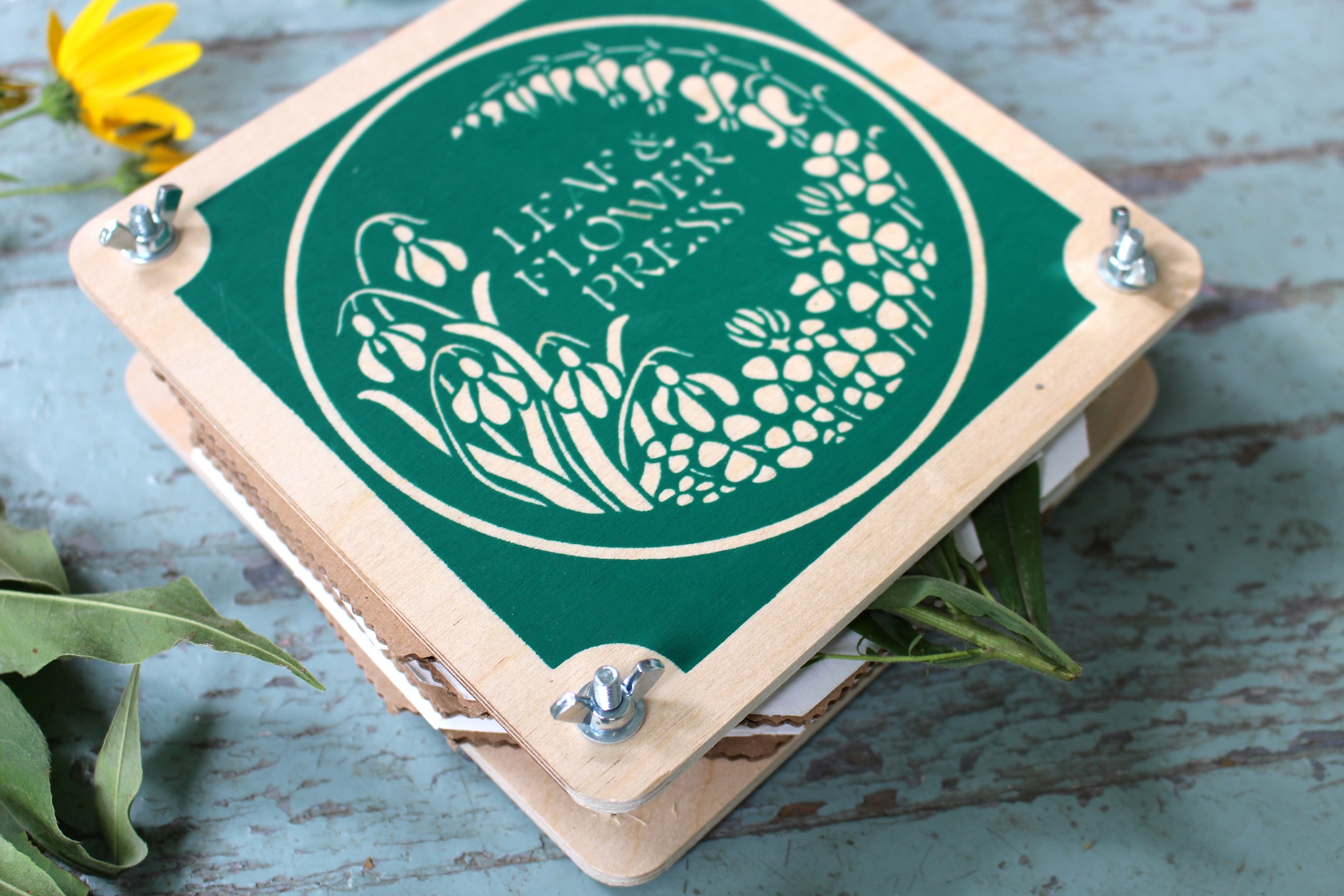 children's nature activity flower pressing