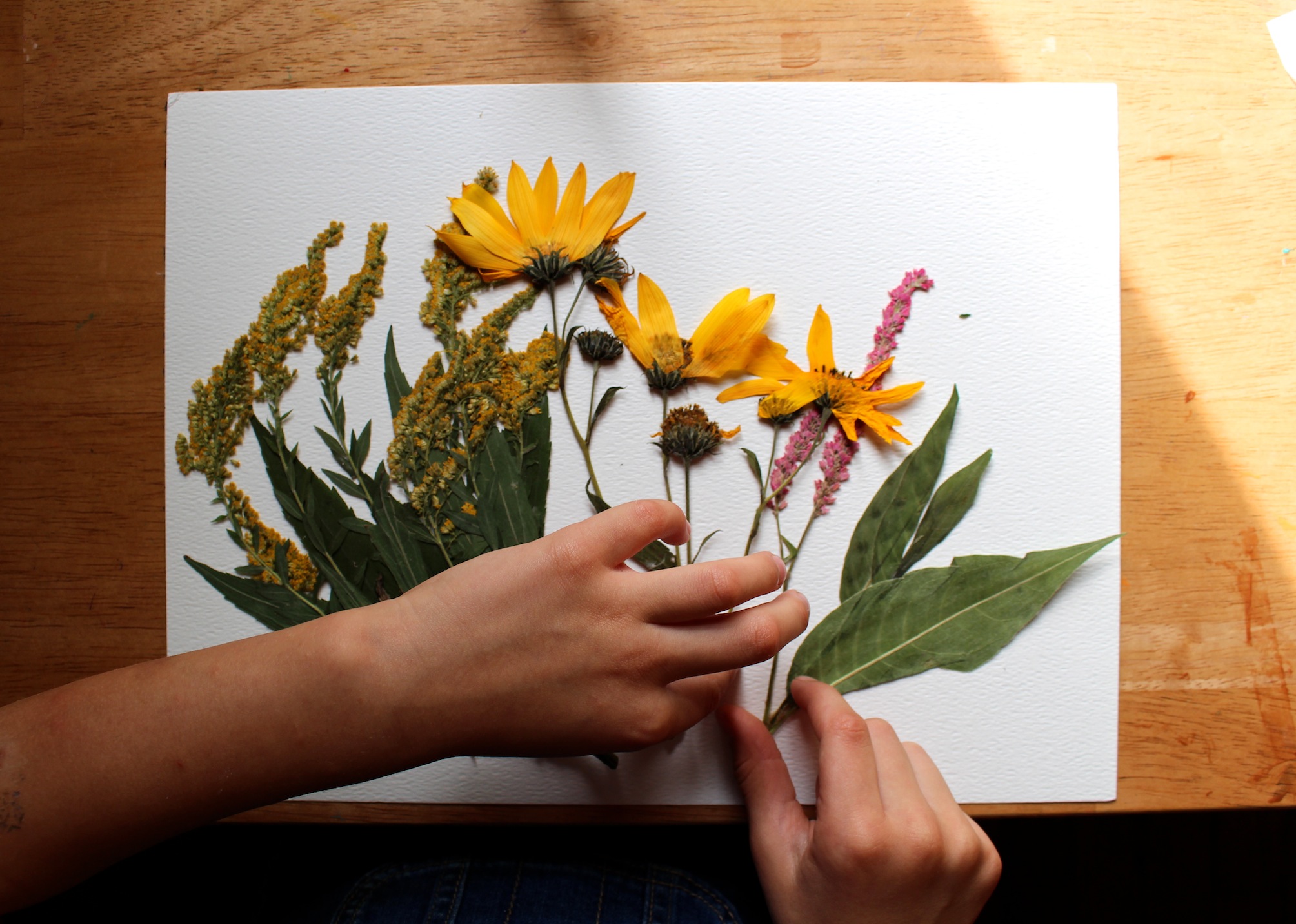 end of summer nature project for children flower pressing