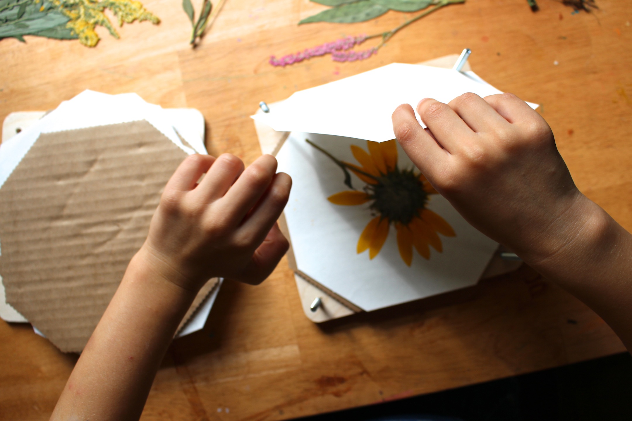 flower pressing craft