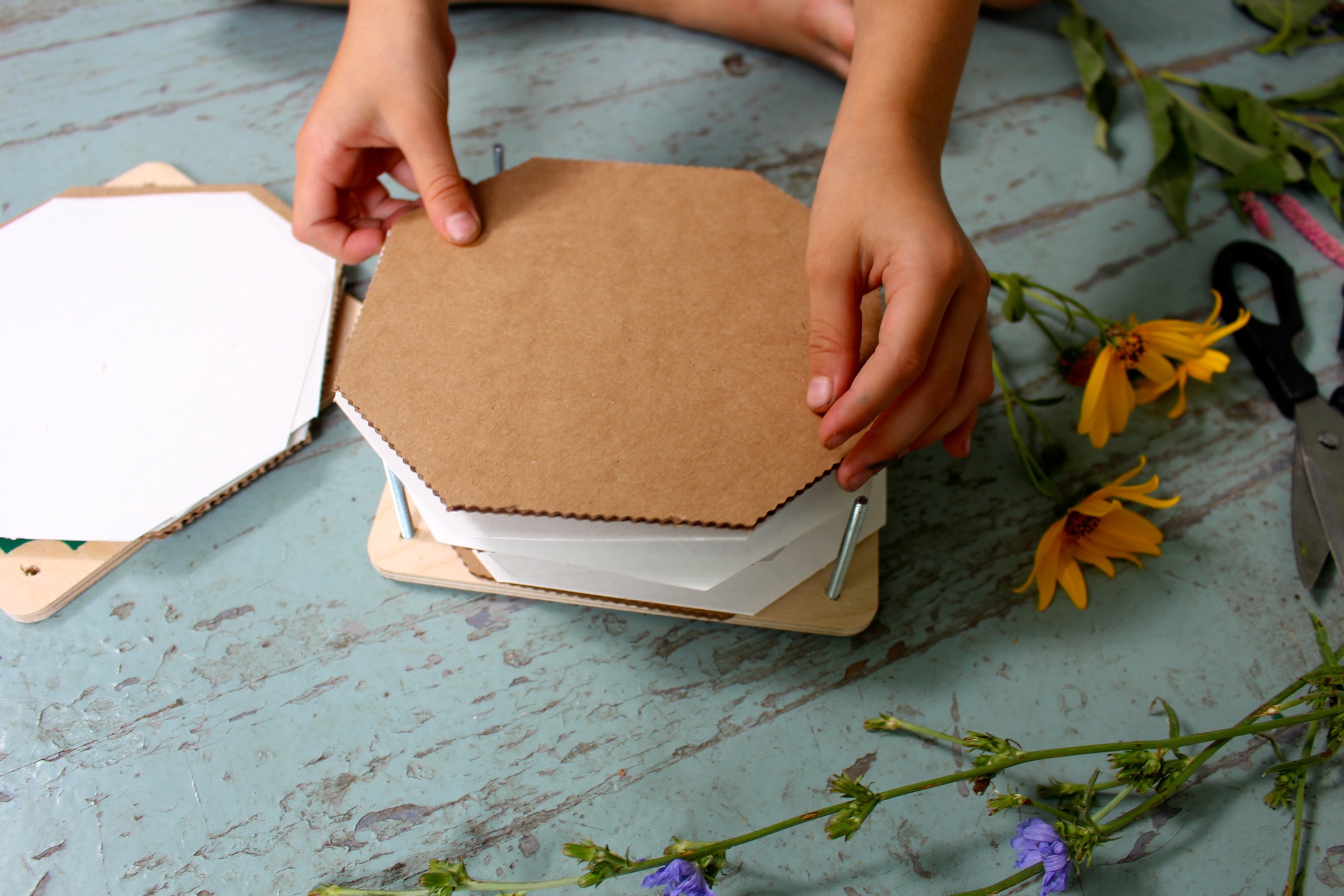 flower pressing