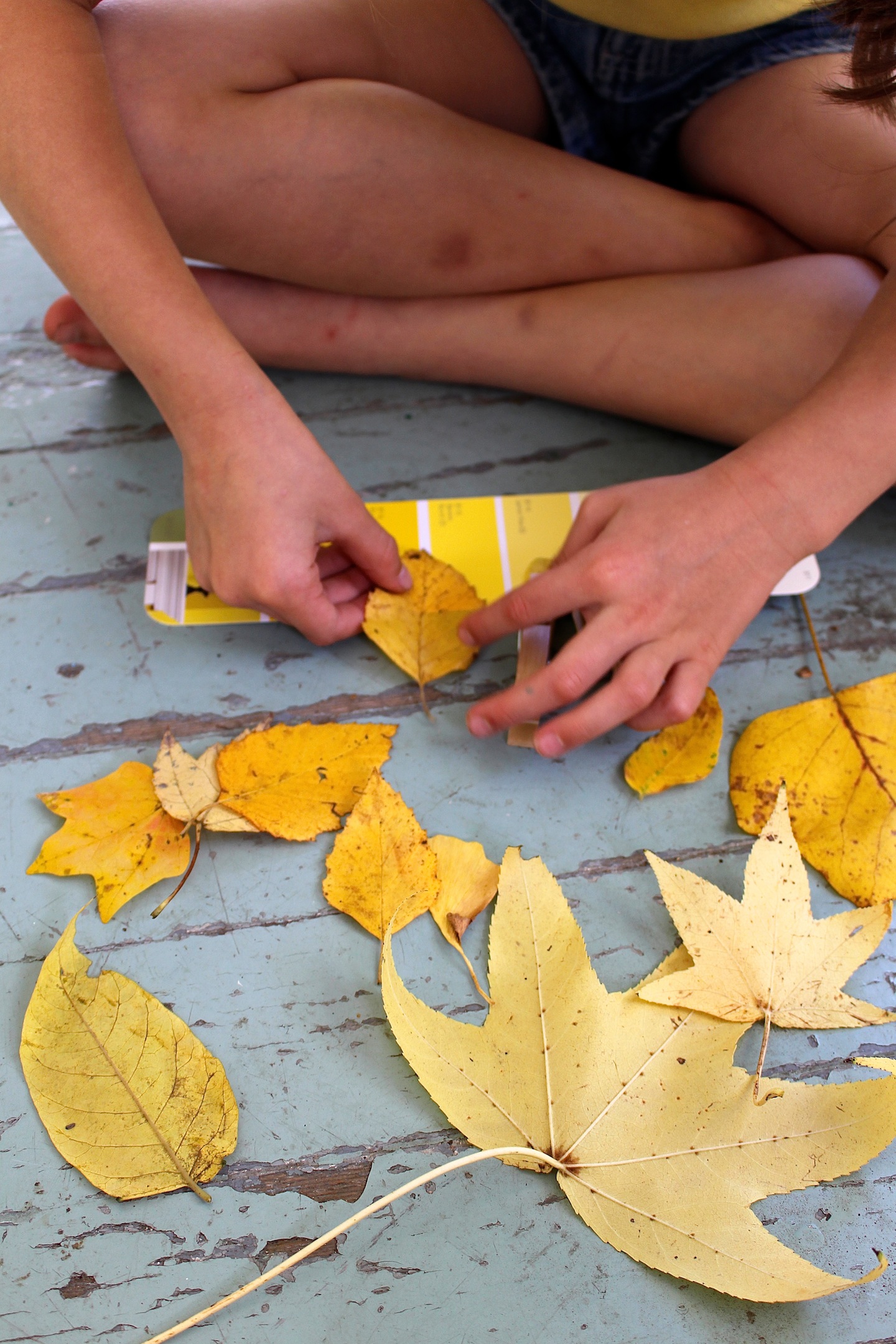 Autumn nature activity
