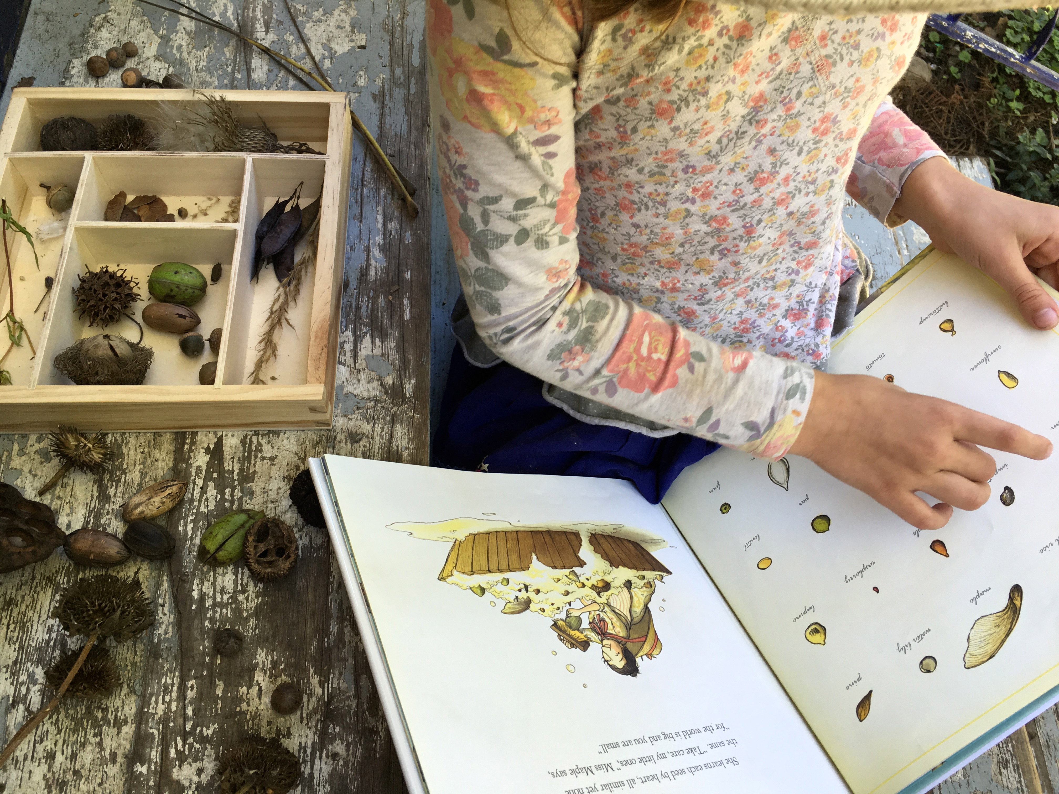 Autumn seed finding nature activity for kids