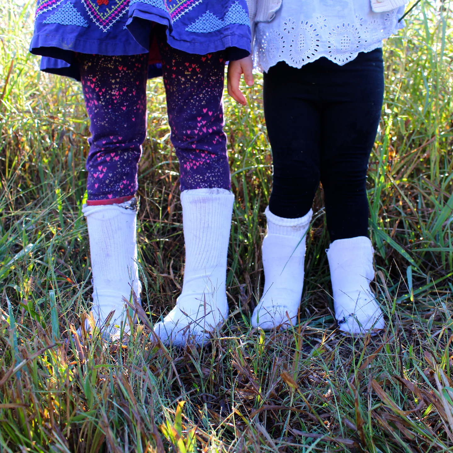Learning about seedsby going on a sock walk