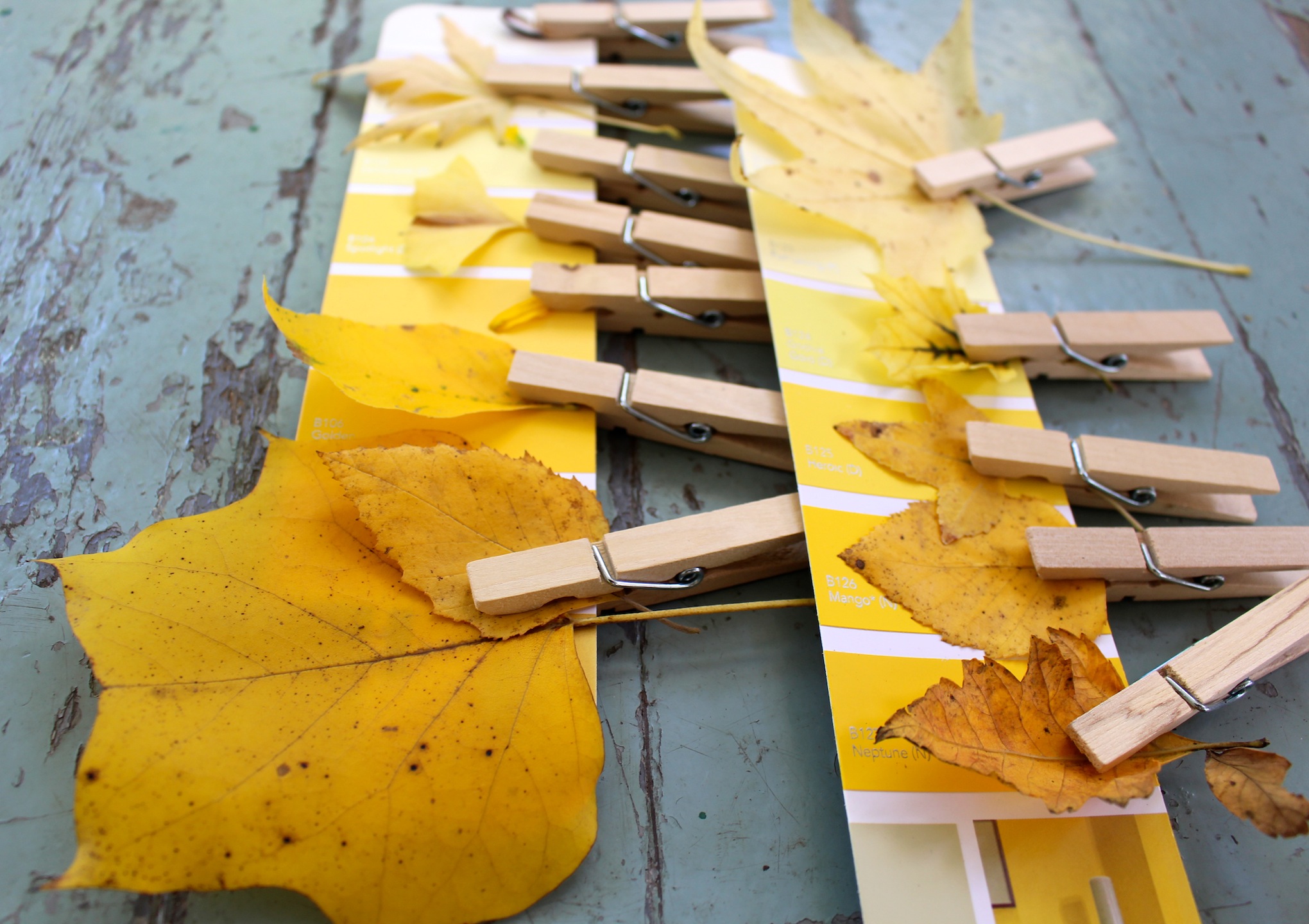 Yellow Time autumn nature activity