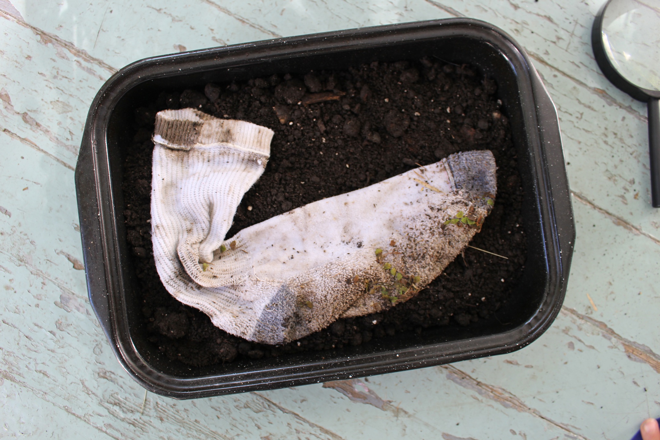 autumn nature exploration for children - sock walk