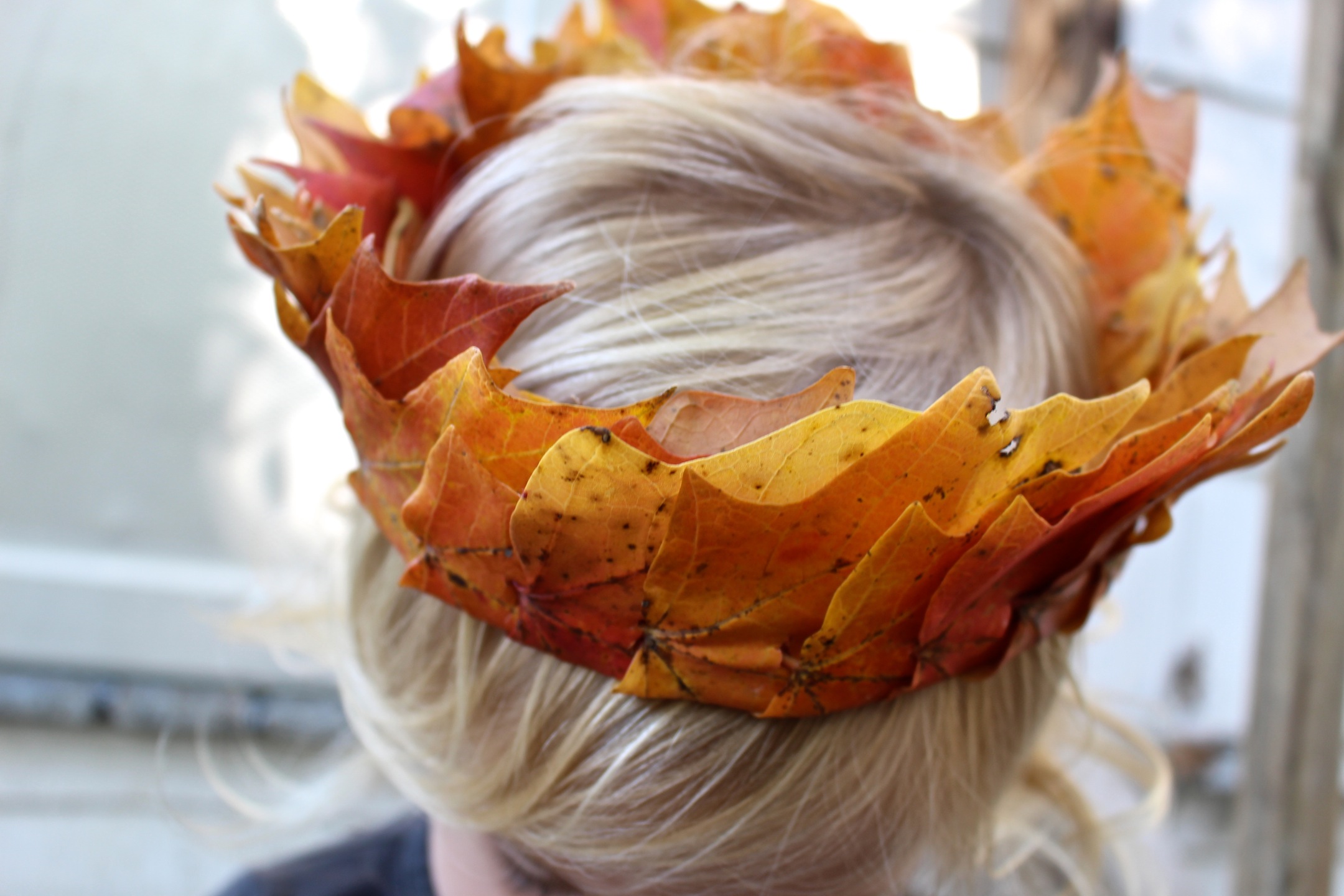autumn crown