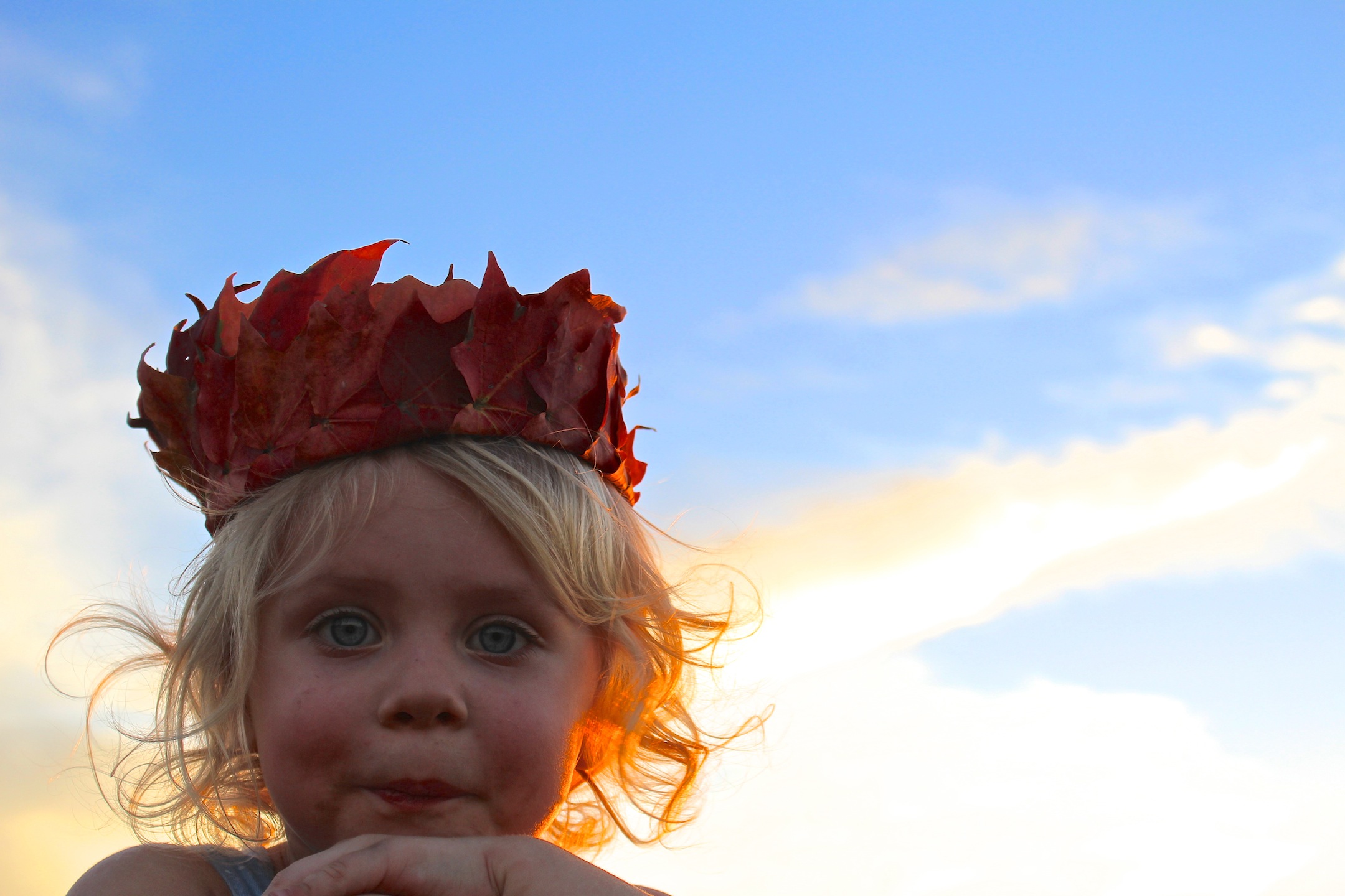 autumn sunset leaf crown