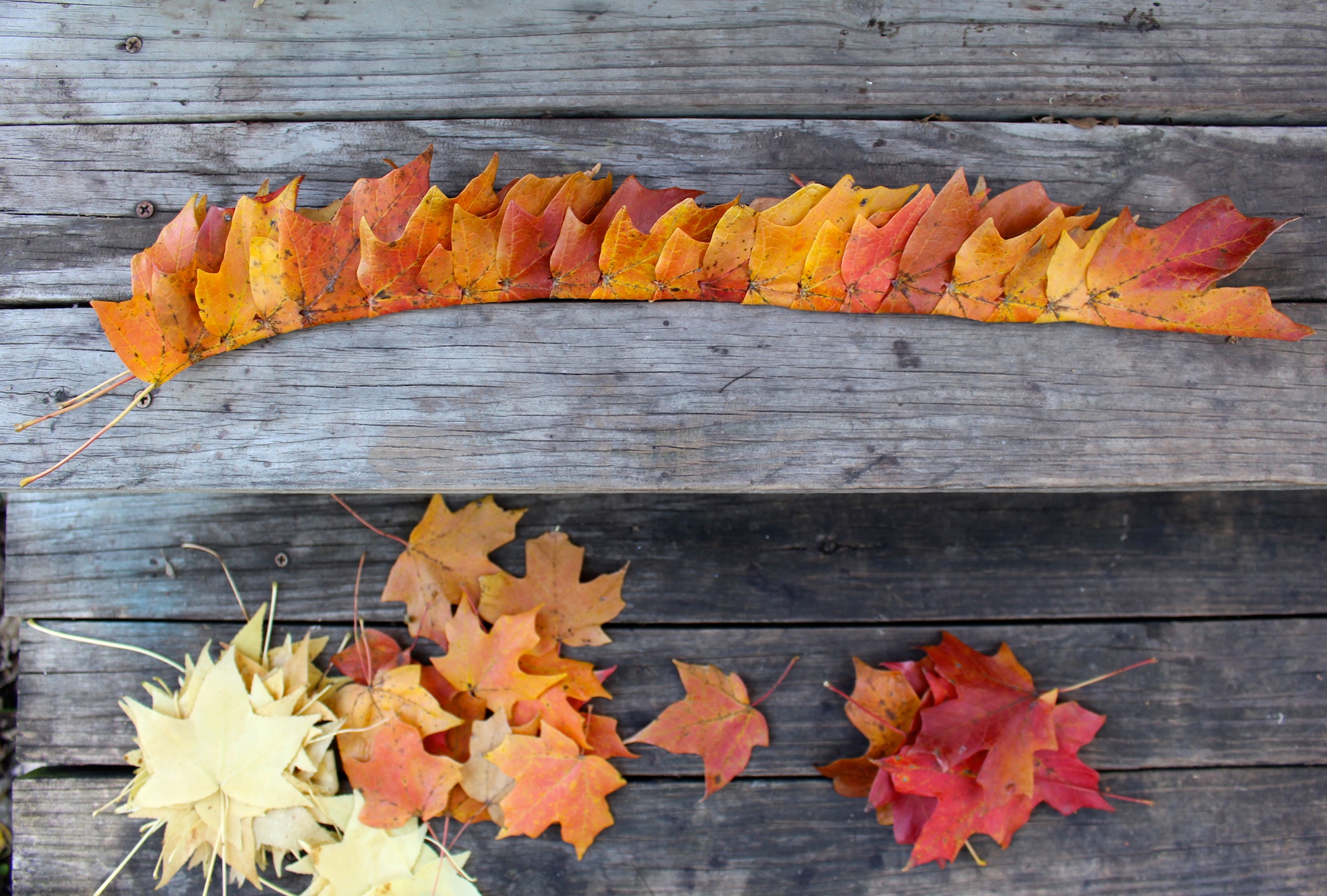 how to make a leaf crown 8